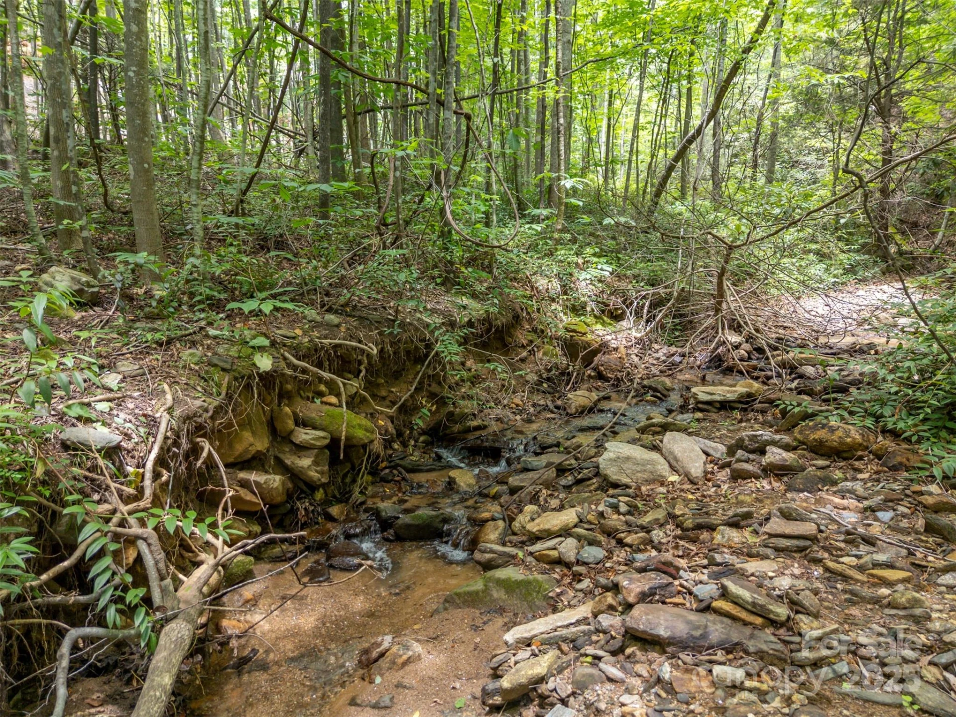 000 Deep Gap Farm Road E - Photo 4