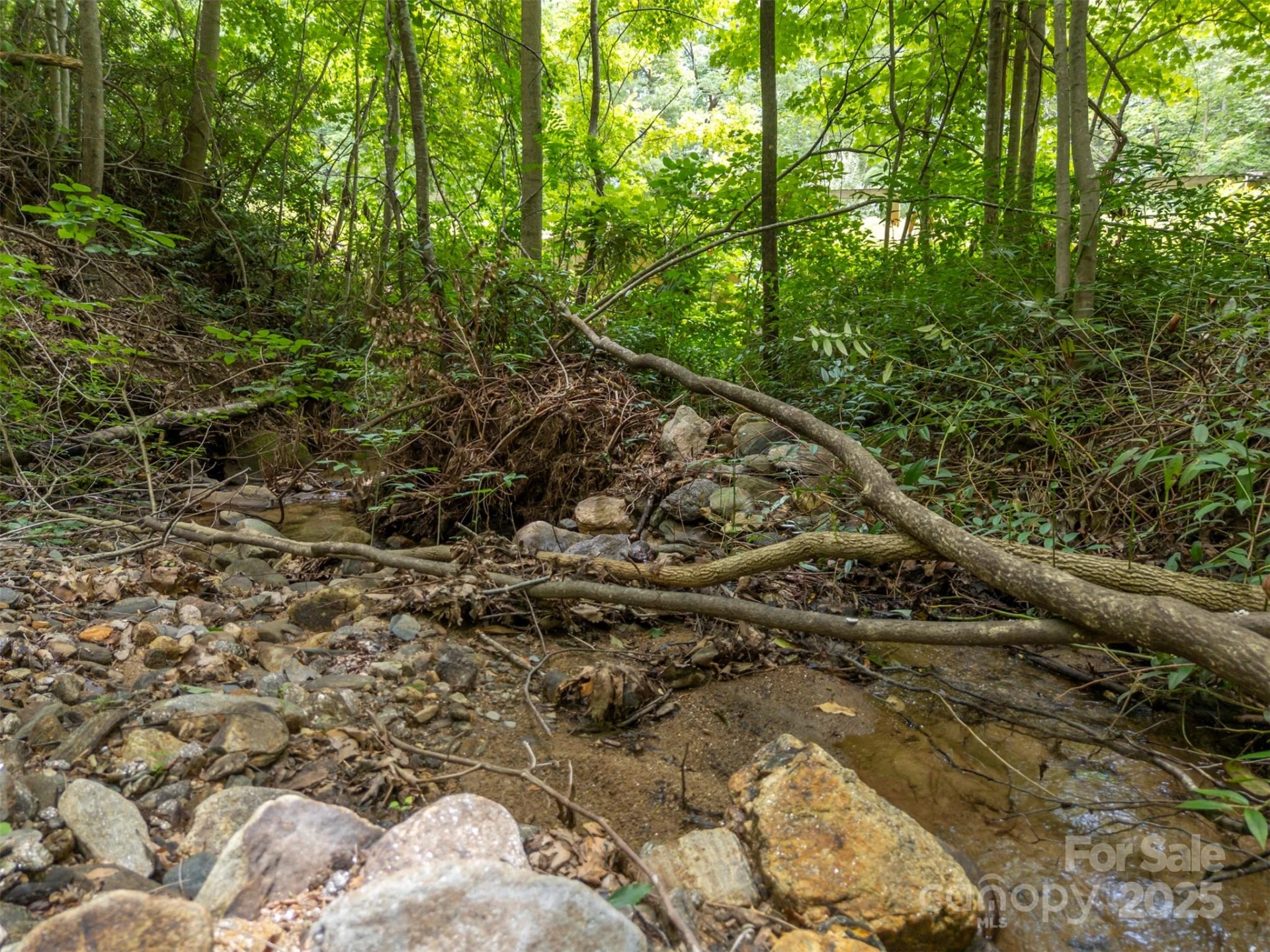 000 Deep Gap Farm Road E - Photo 6
