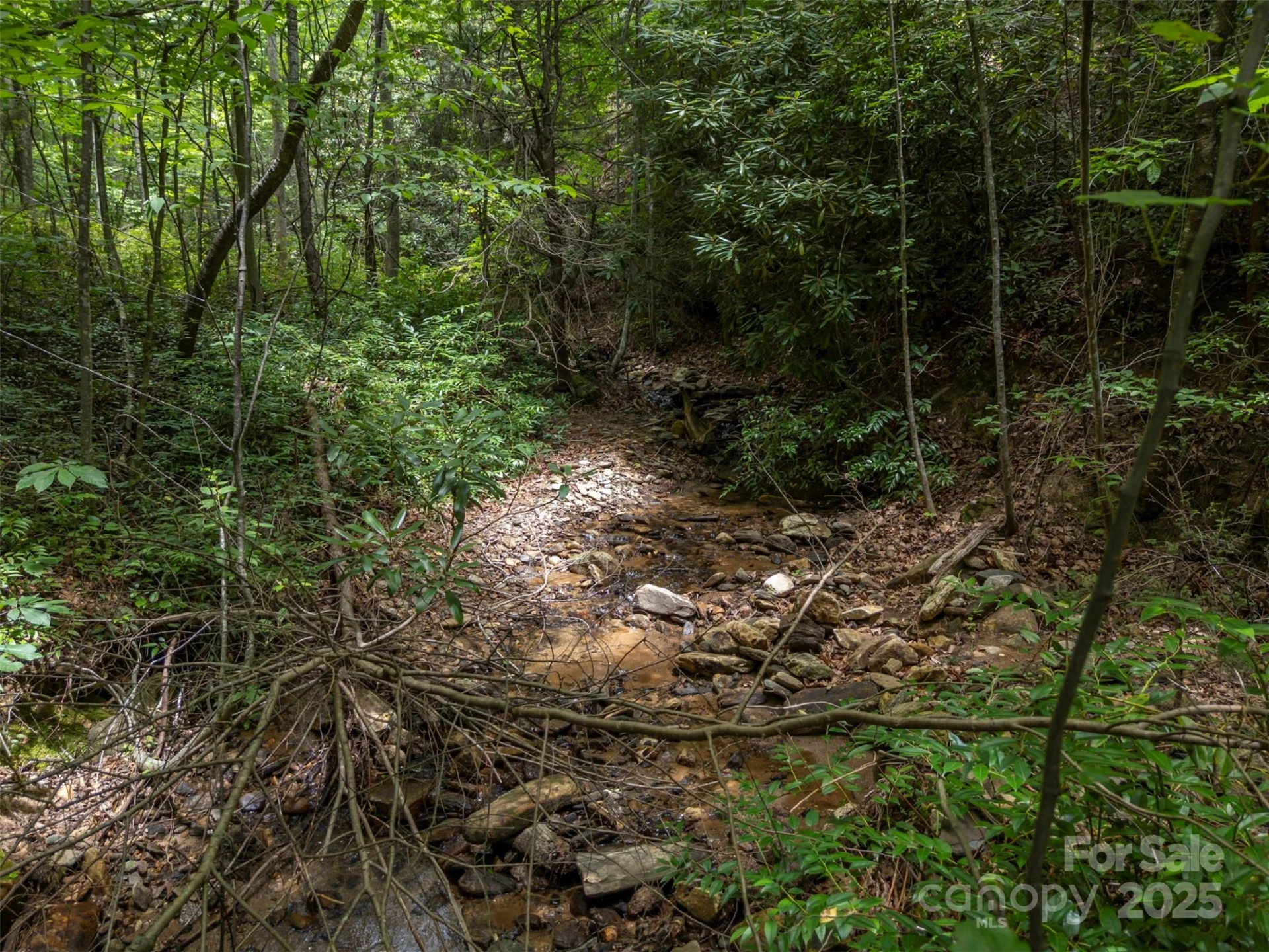 000 Deep Gap Farm Road E - Photo 7