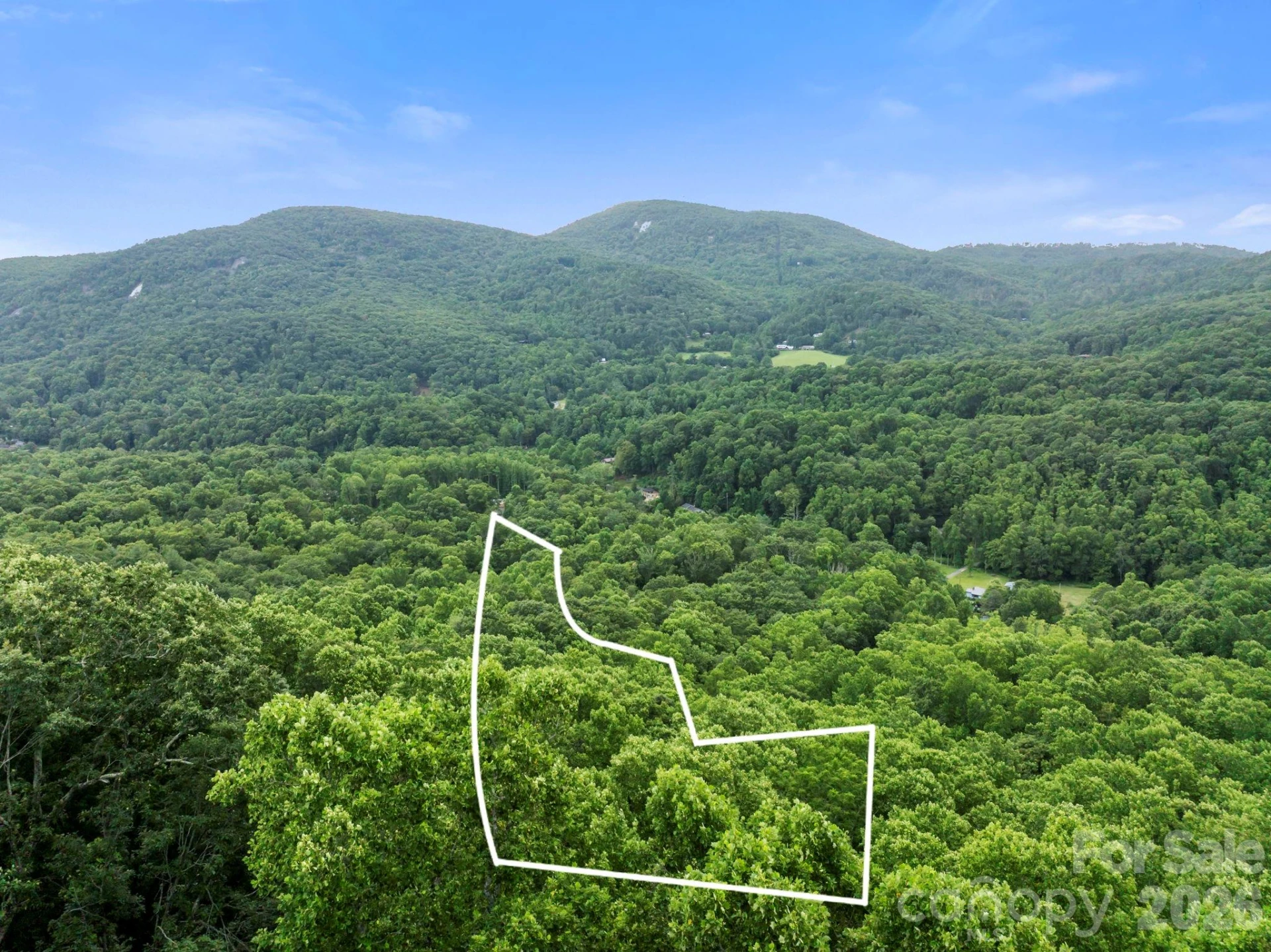 99999 Little Pisgah Road - Photo 12