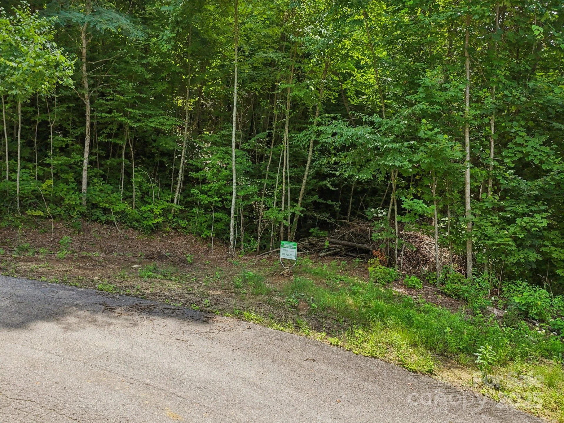 Lot 501 Spellbound Road - Photo 26