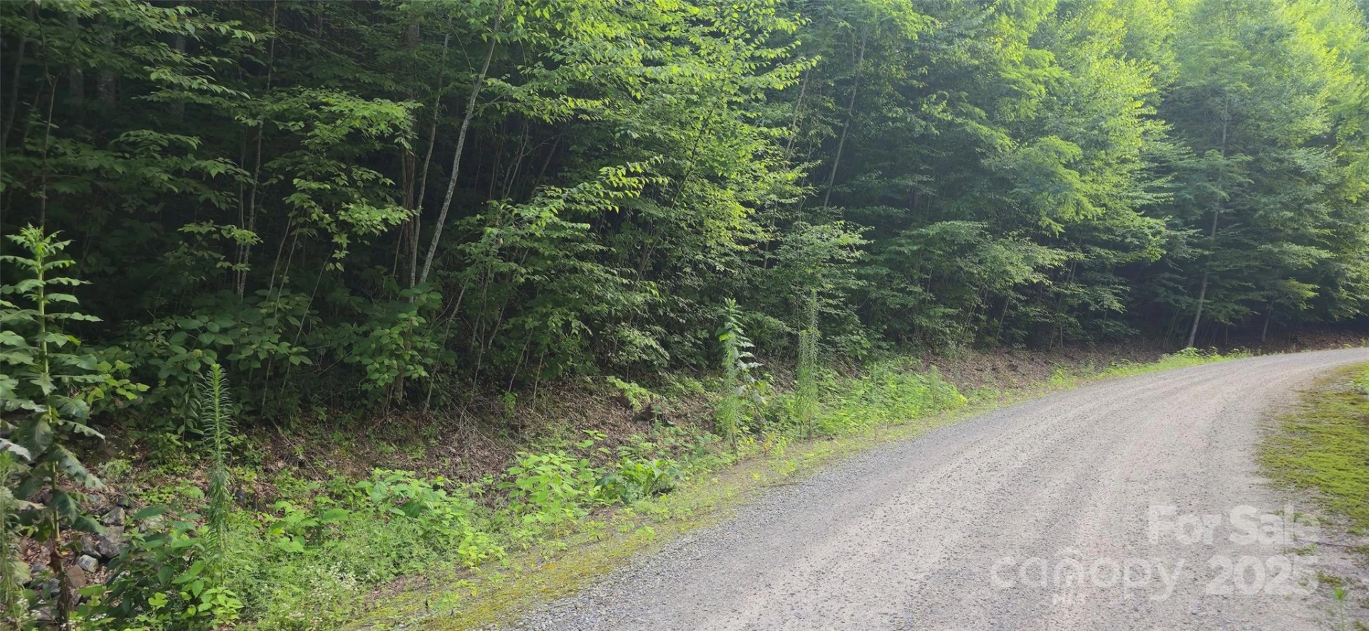 Lot 501 Spellbound Road - Photo 10