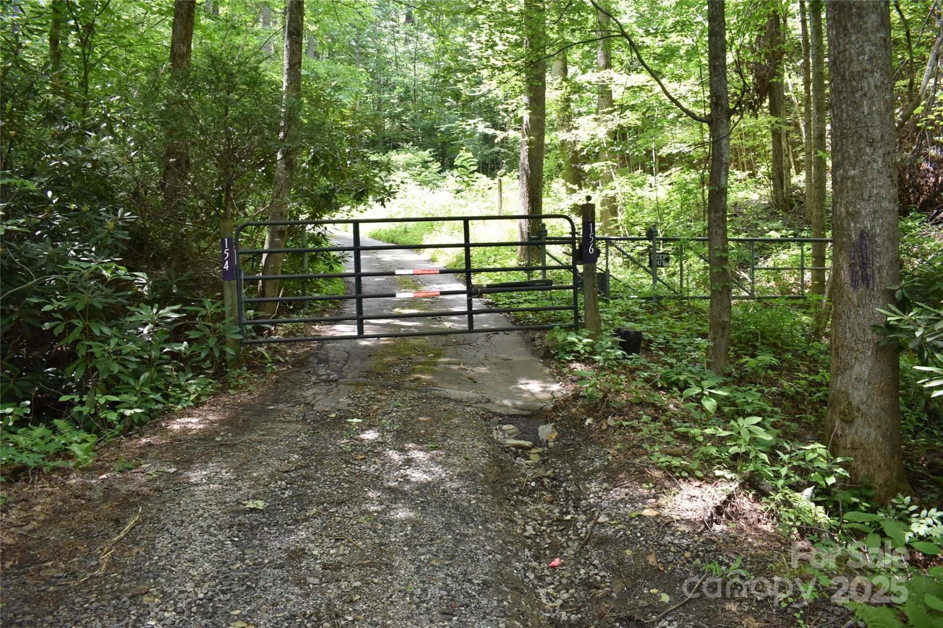 50 Firefly Springs Lane - Photo 34