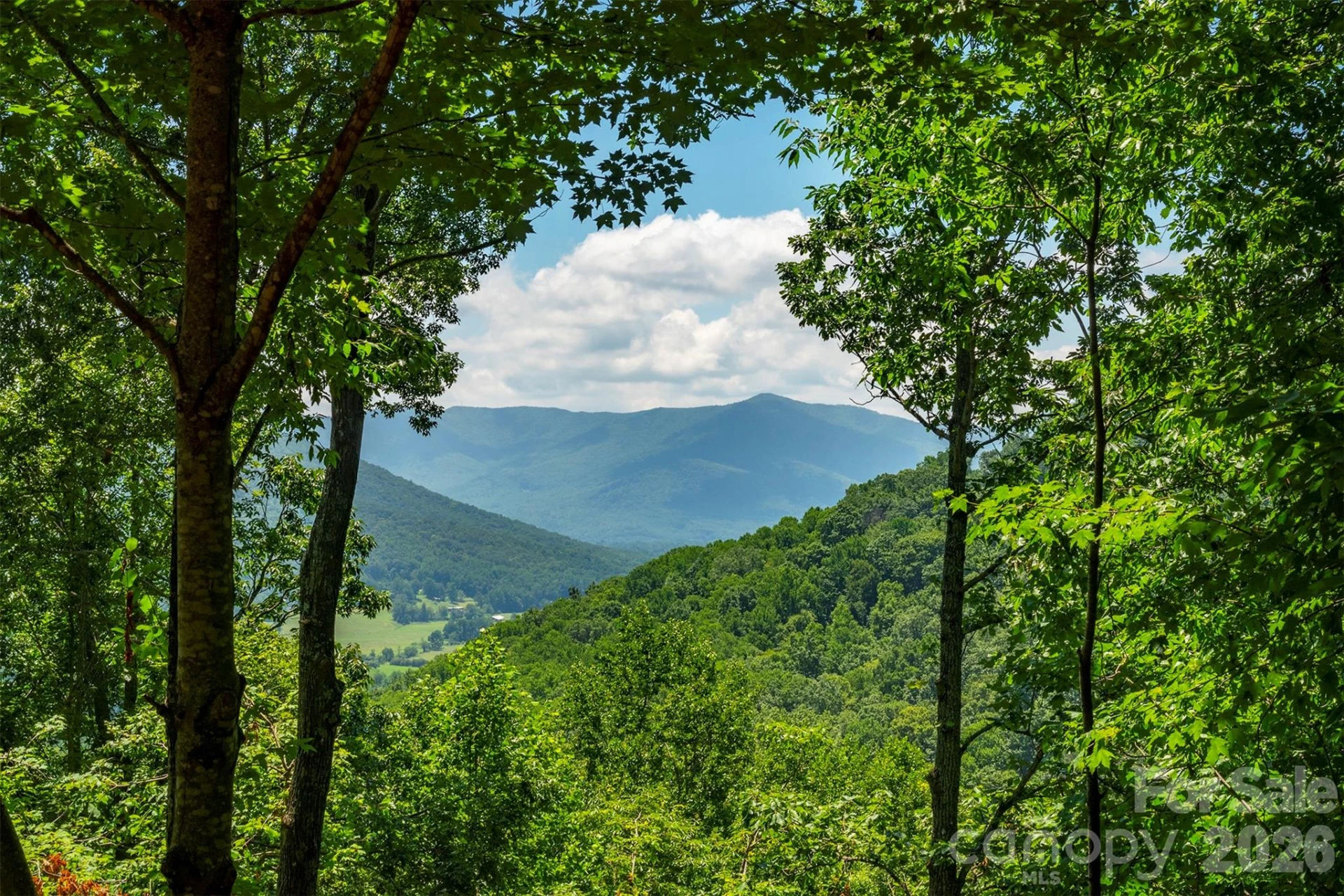 7 Winding Poplar Road - Photo 6