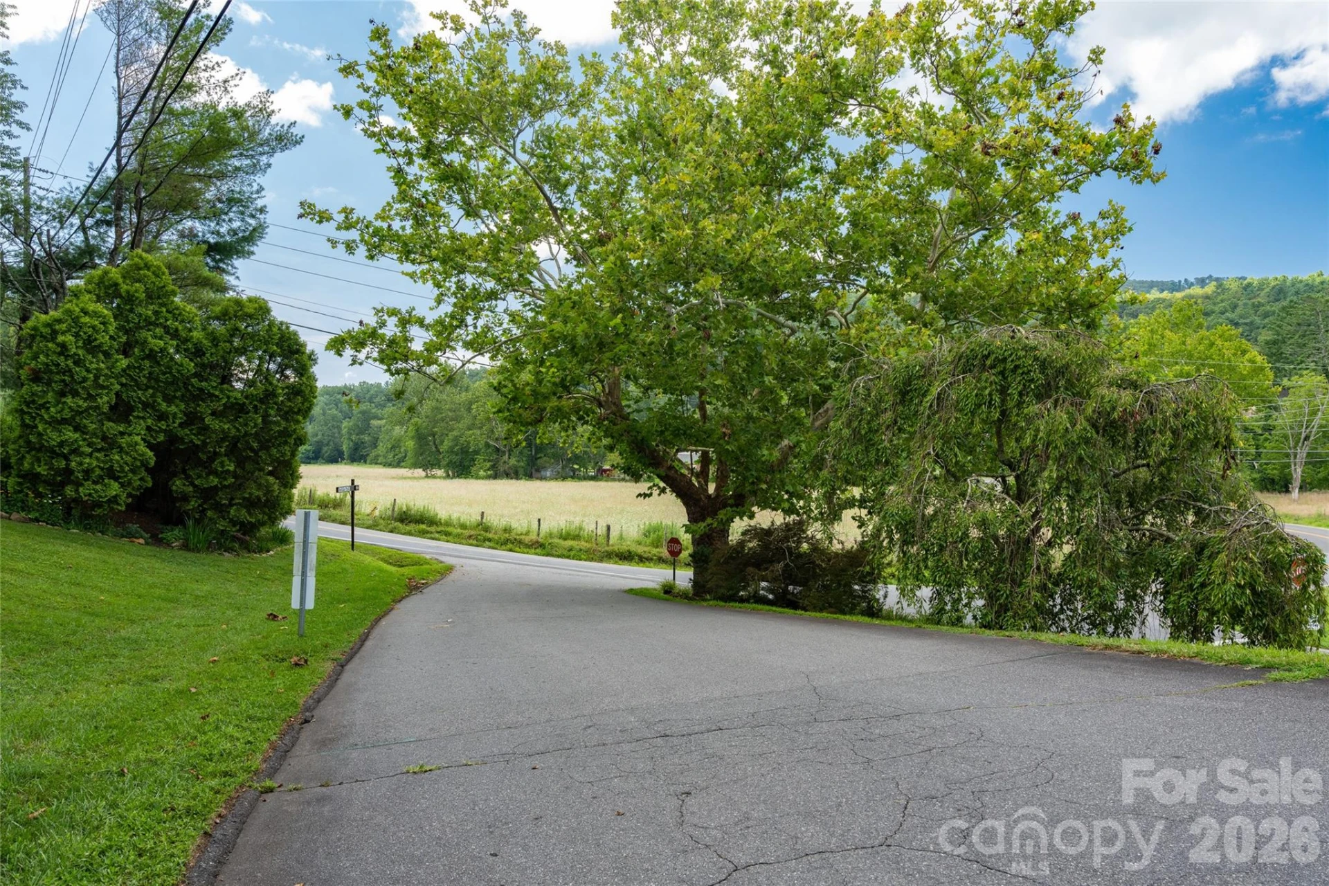 99999 Buffalo Trail #86 - Photo 16