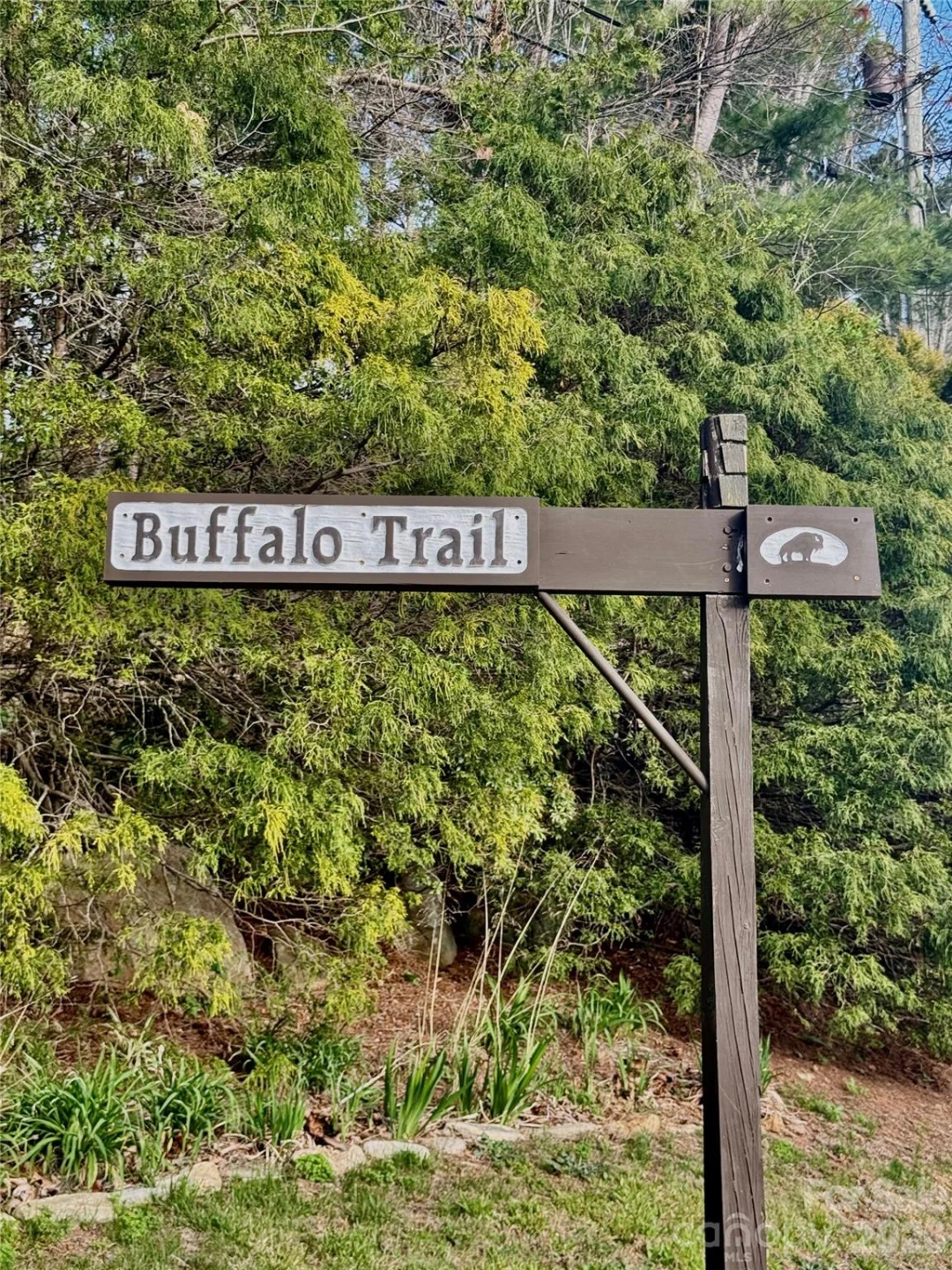 99999 Buffalo Trail #86 - Photo 5