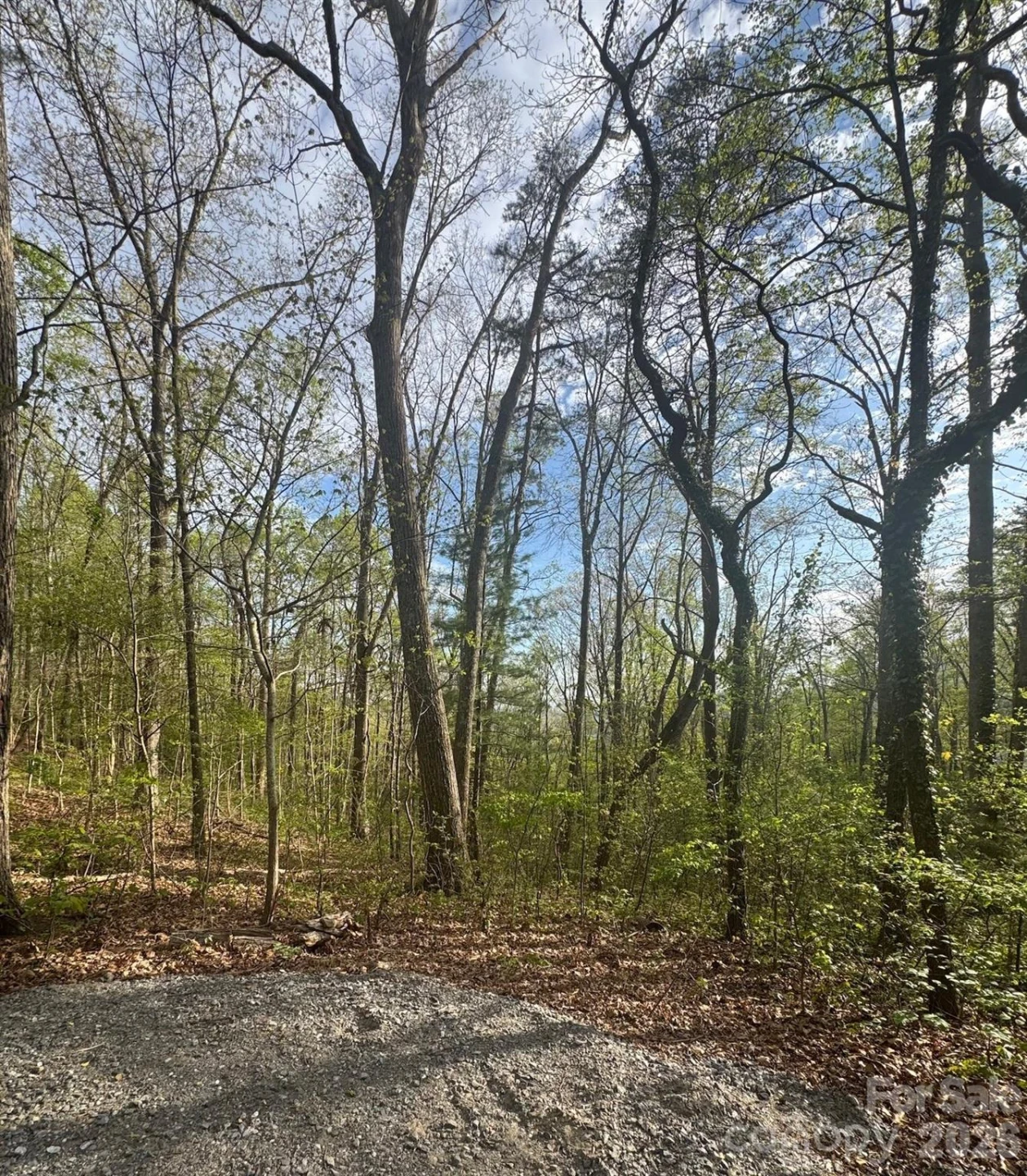 99999 Buffalo Trail #86 - Photo 11