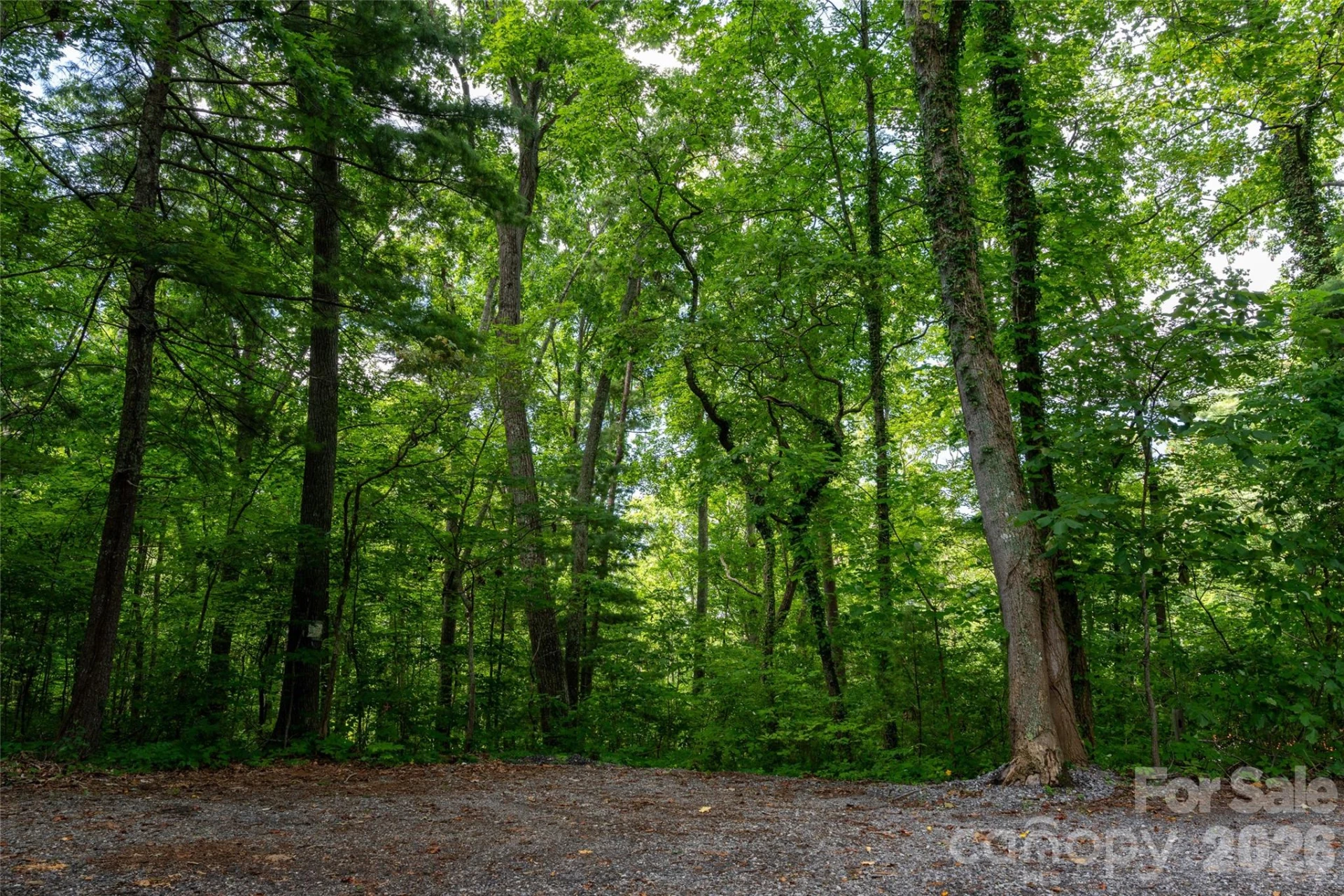 99999 Buffalo Trail #86 - Photo 14