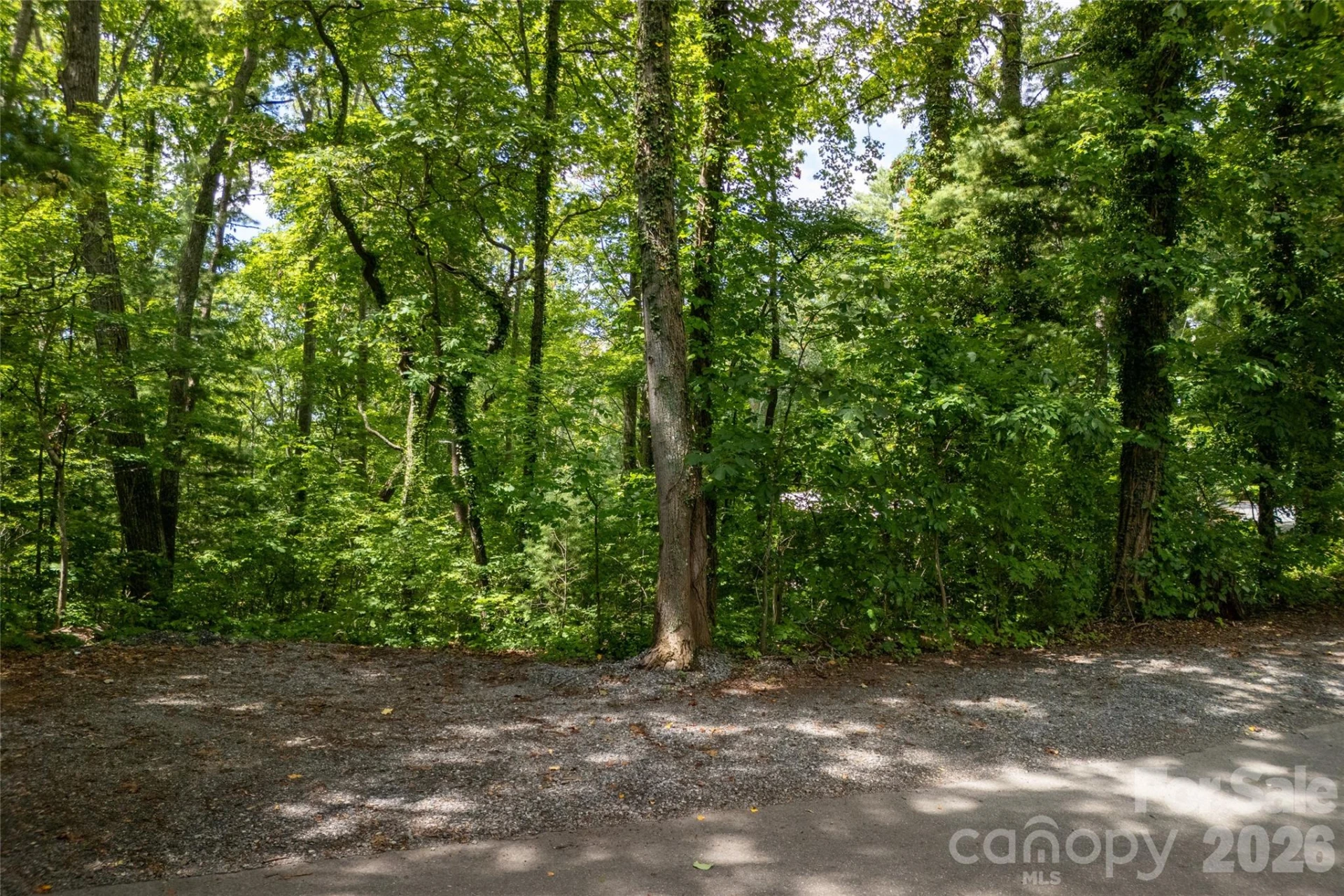 99999 Buffalo Trail #86 - Photo 15