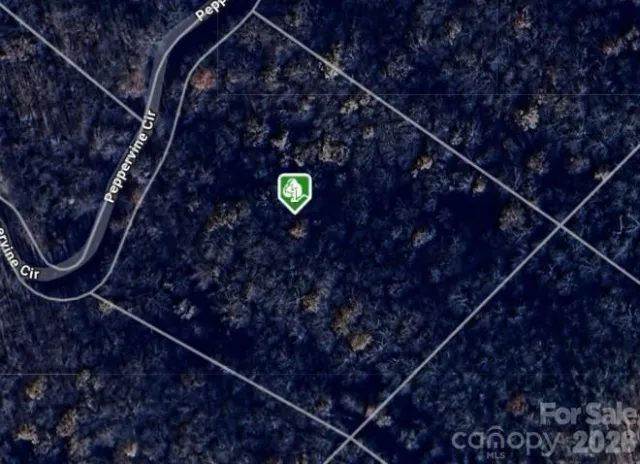 0000 Peppervine Circle, Rosman, NC, 28772