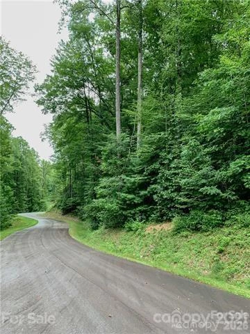 0000 Peppervine Circle #98 - Photo 5