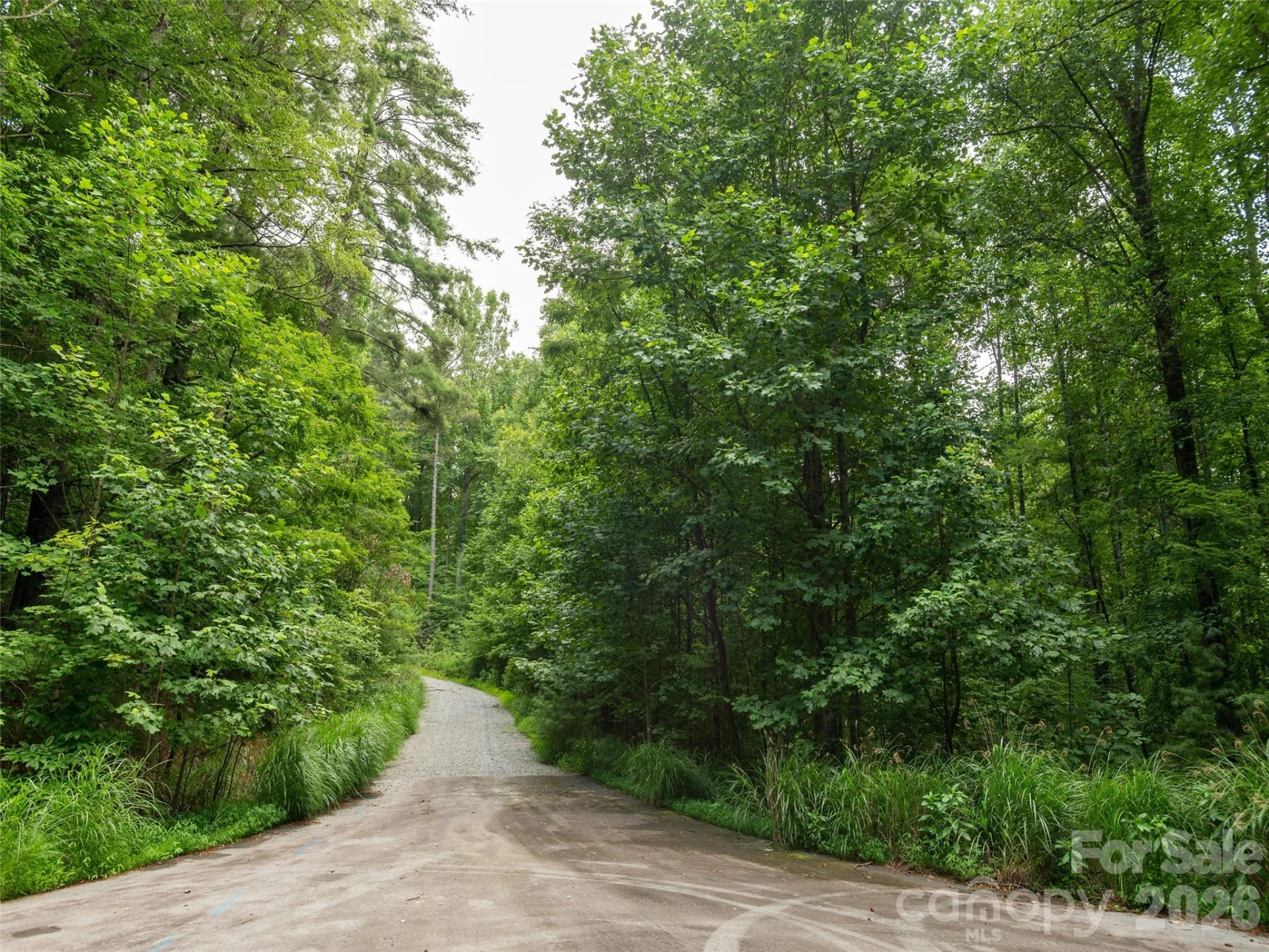 0 Willow Falls Lane - Photo 11