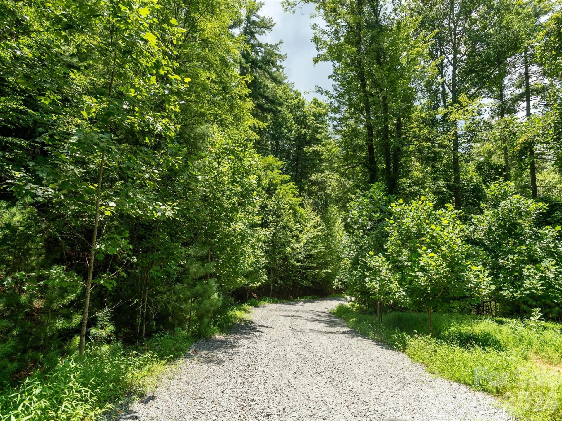 0 Willow Falls Lane - Photo 12