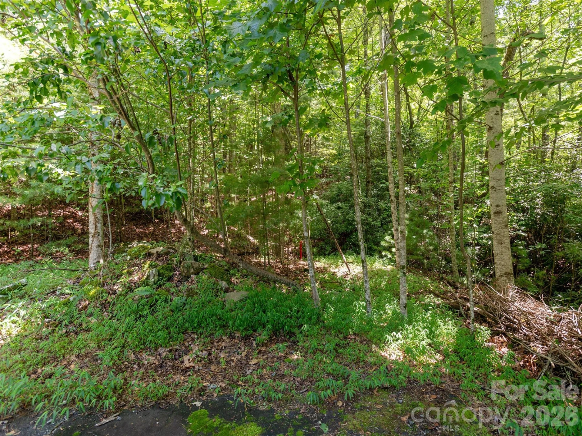 0 Willow Falls Lane - Photo 14