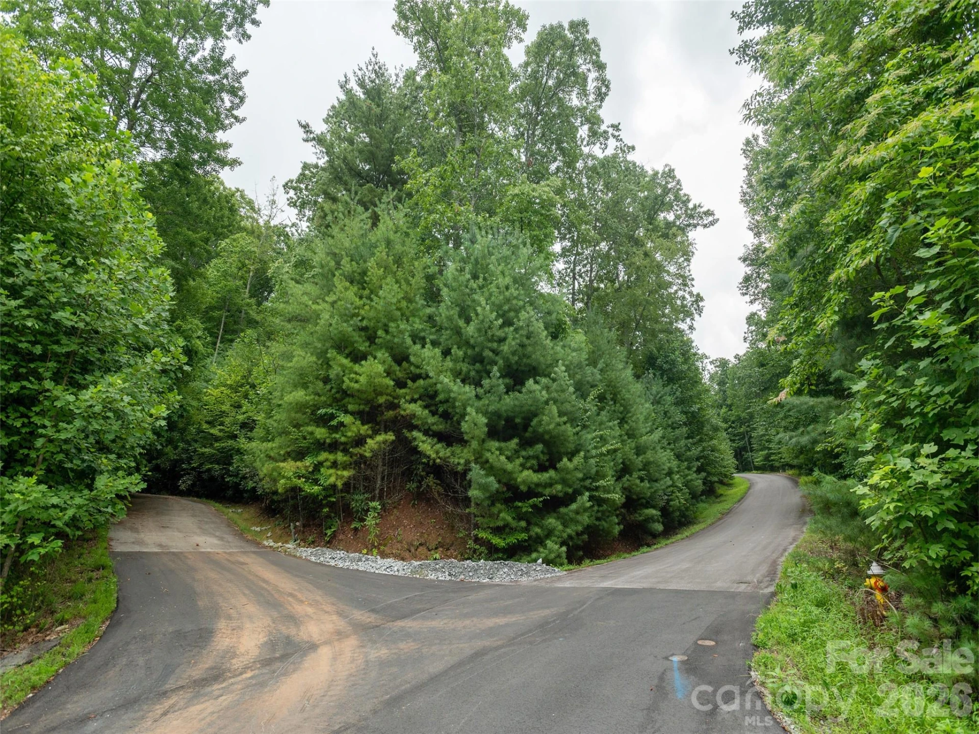 0 Willow Falls Lane - Photo 5