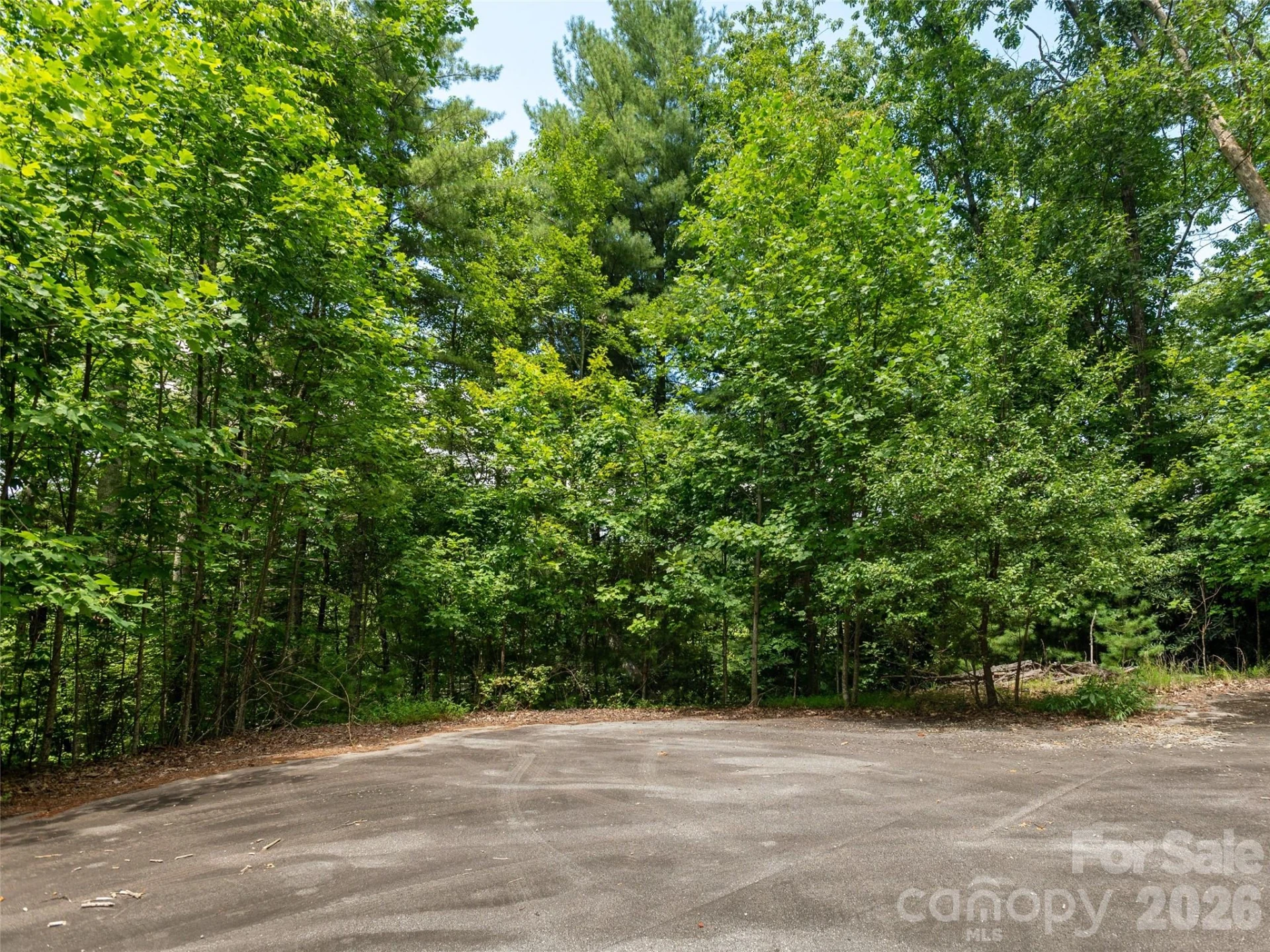 0 Willow Falls Lane - Photo 7