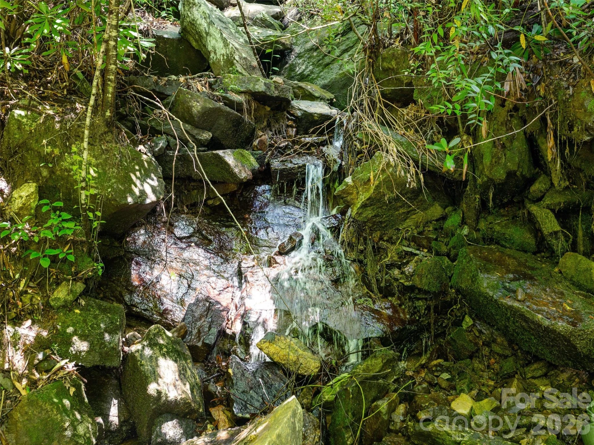 0 Willow Falls Lane - Photo 8