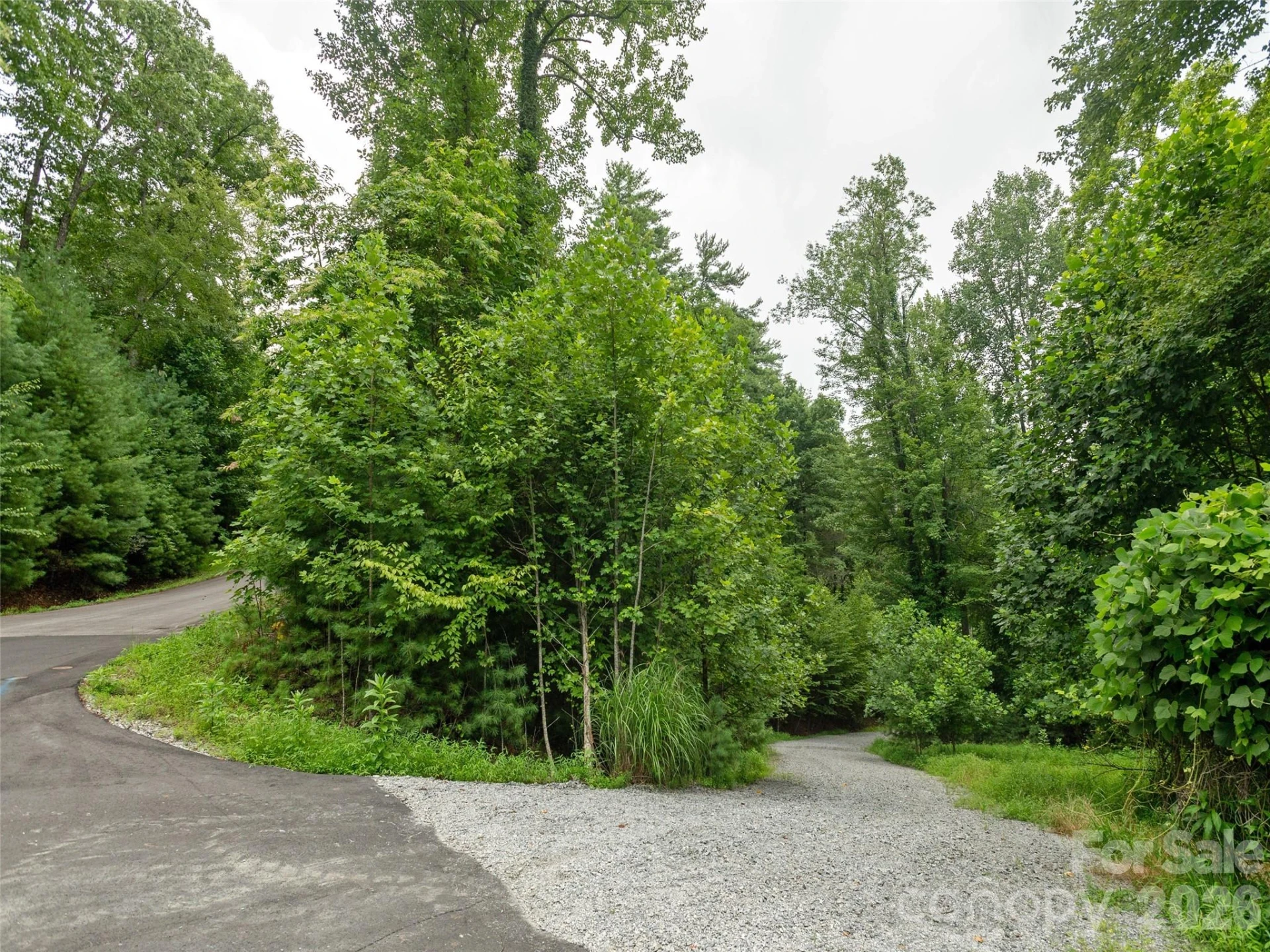 0 Willow Falls Lane - Photo 9