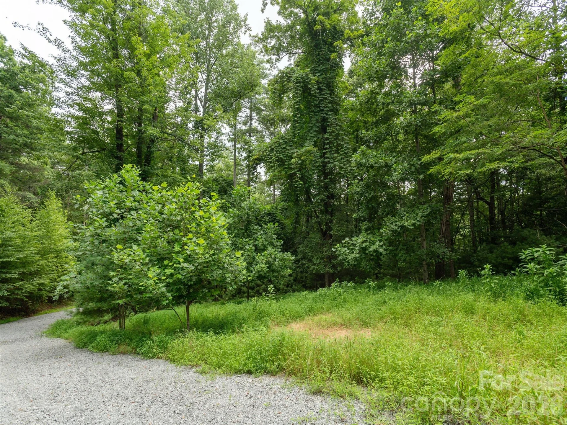 0 Willow Falls Lane - Photo 10