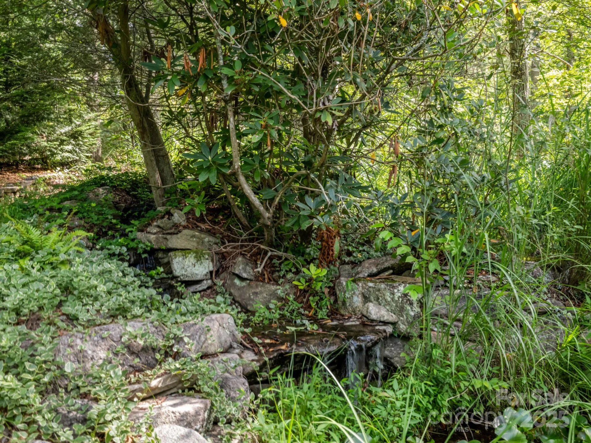 194 Bear Creek Drive - Photo 5
