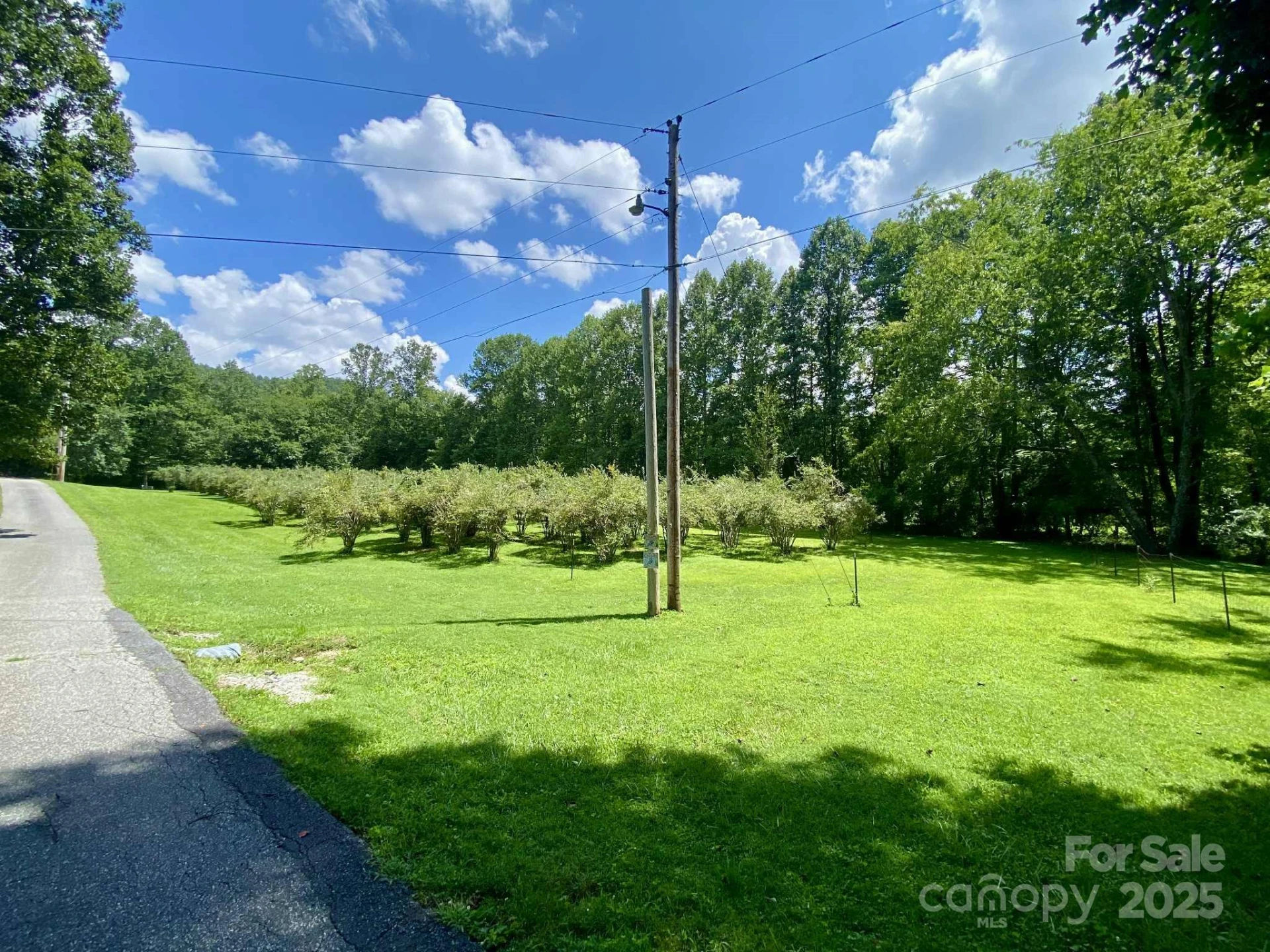 163 Gypsy Mountain Road - Photo 42