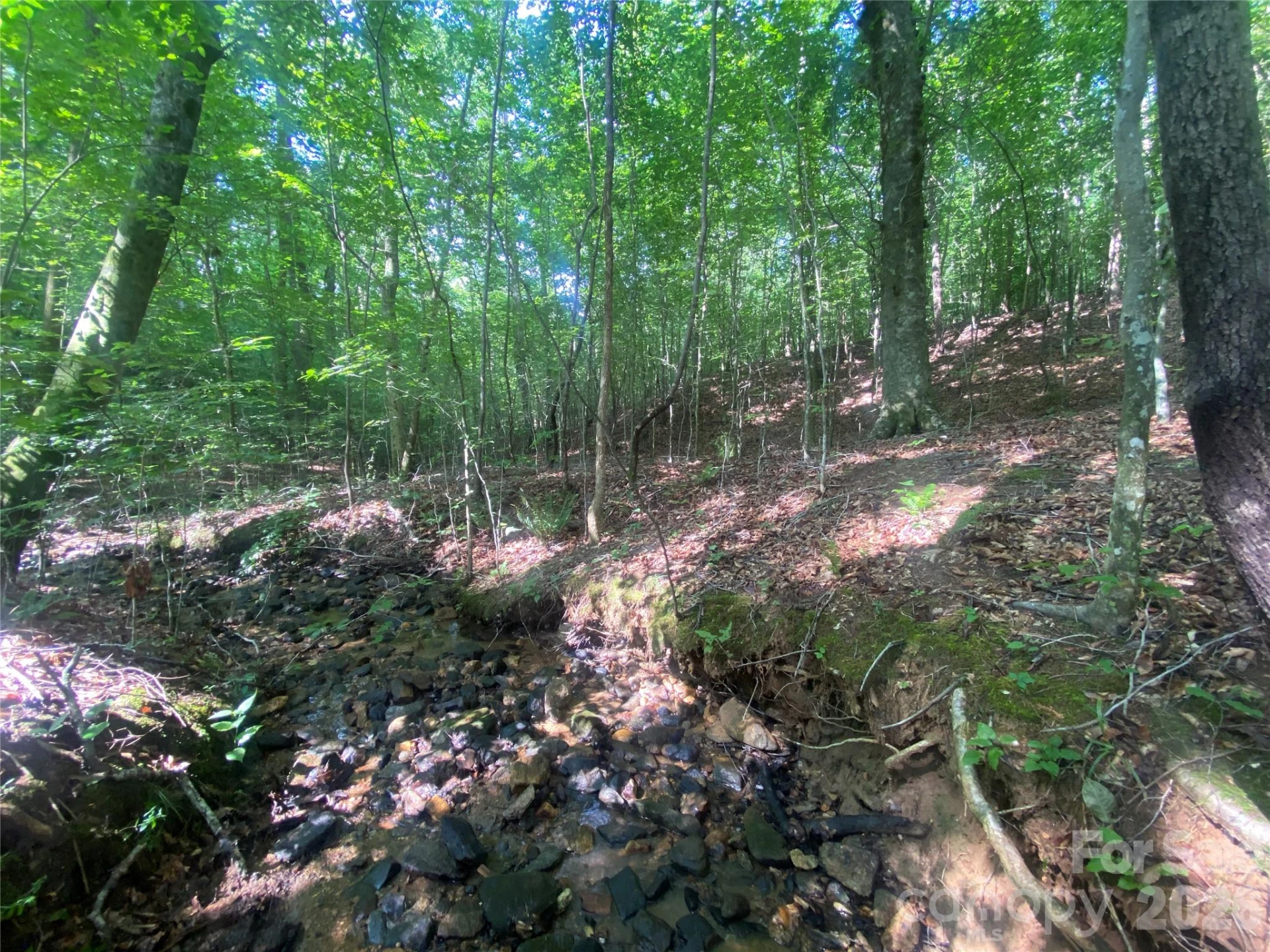 0 Camp McCall Road - Photo 11