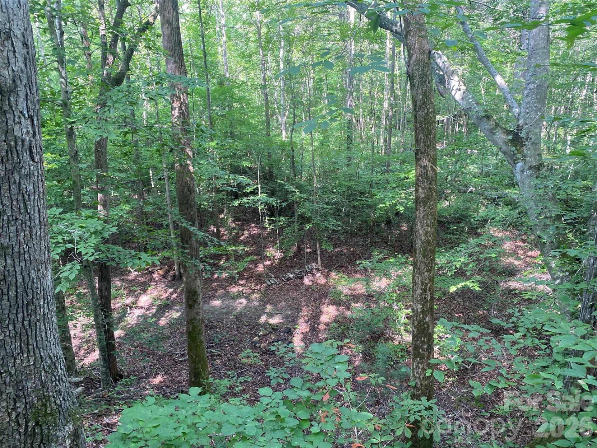 0 Camp McCall Road - Photo 16