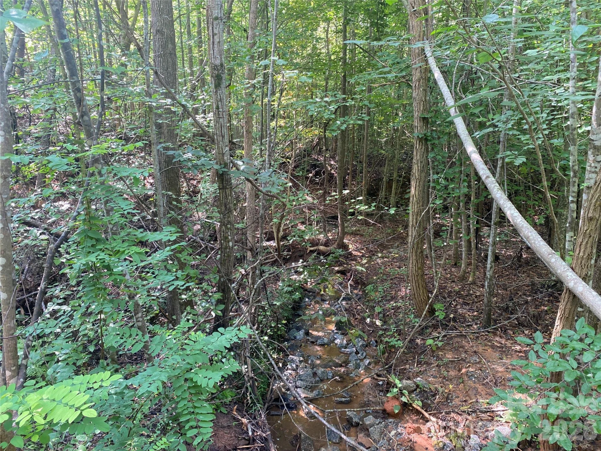 0 Camp McCall Road - Photo 17