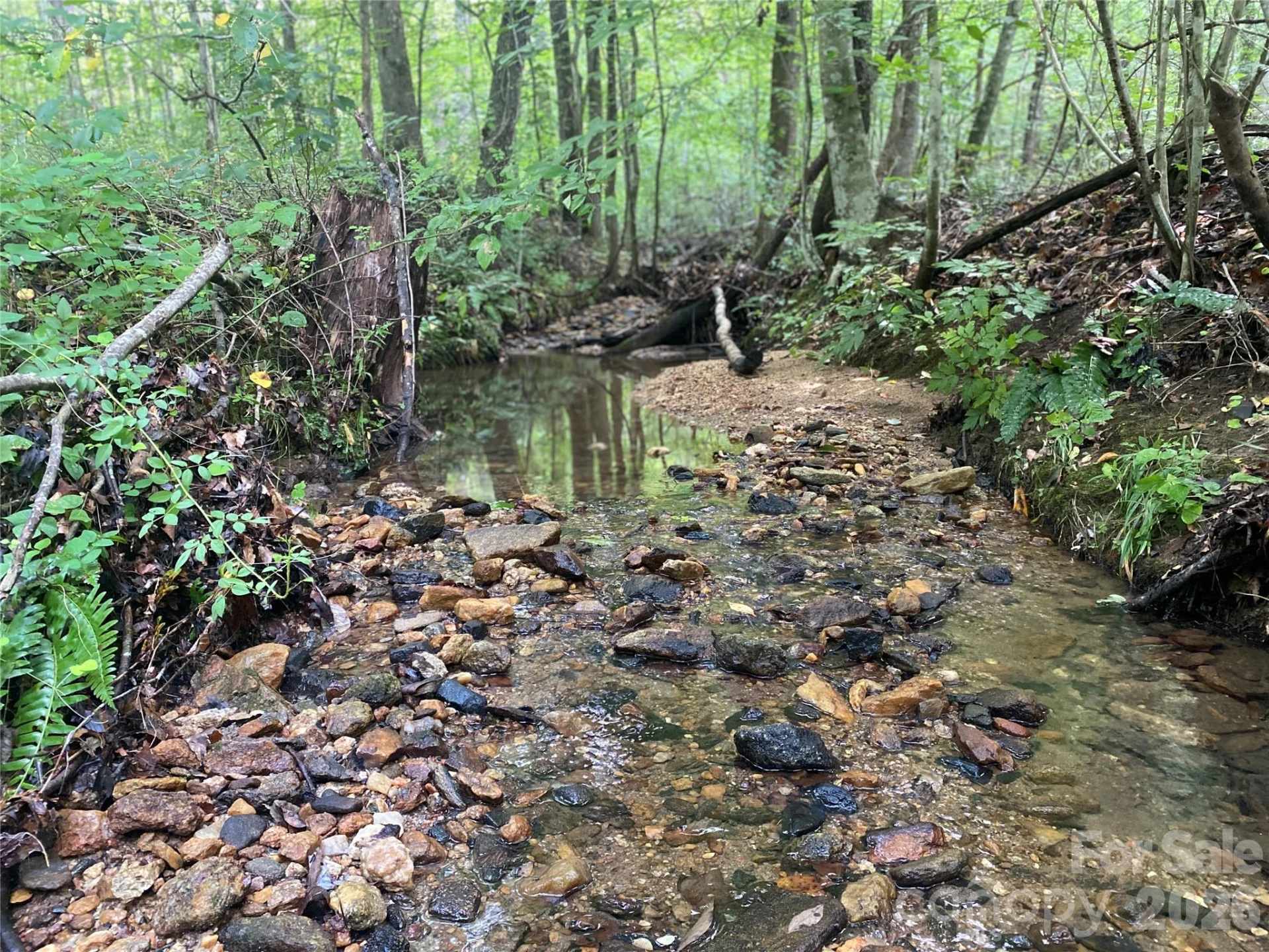 0 Camp McCall Road - Photo 18