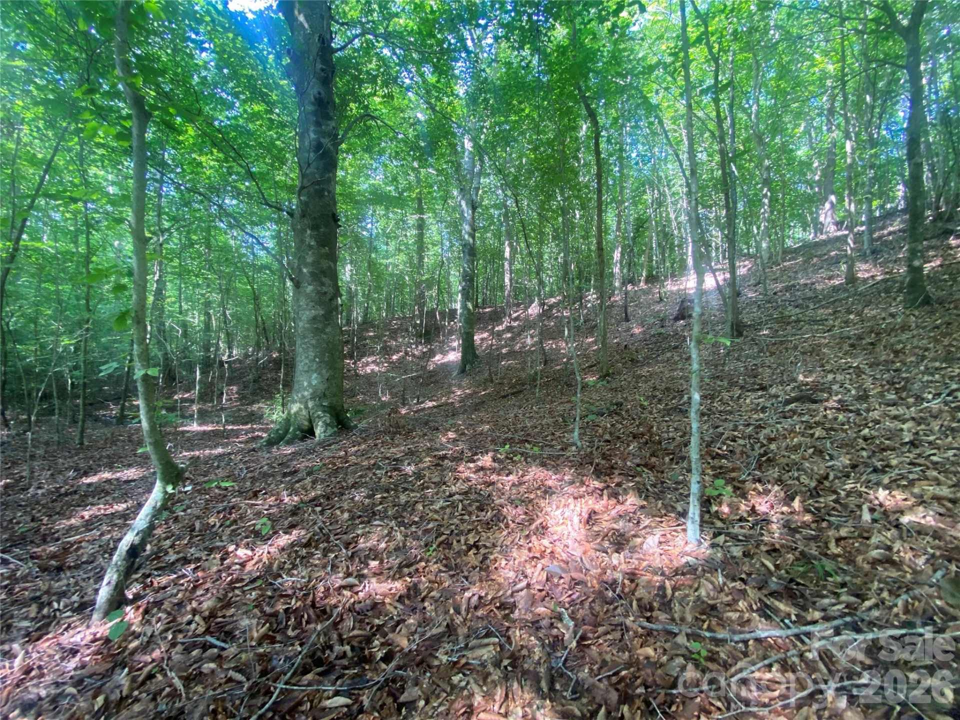 0 Camp McCall Road - Photo 19