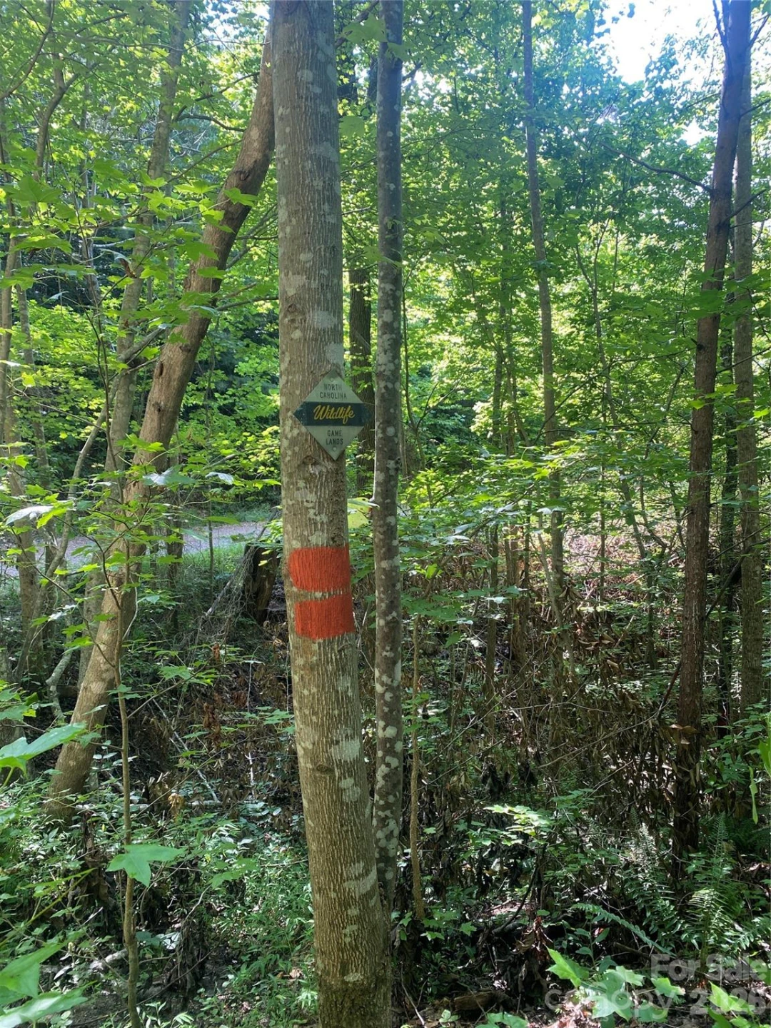 0 Camp McCall Road - Photo 20