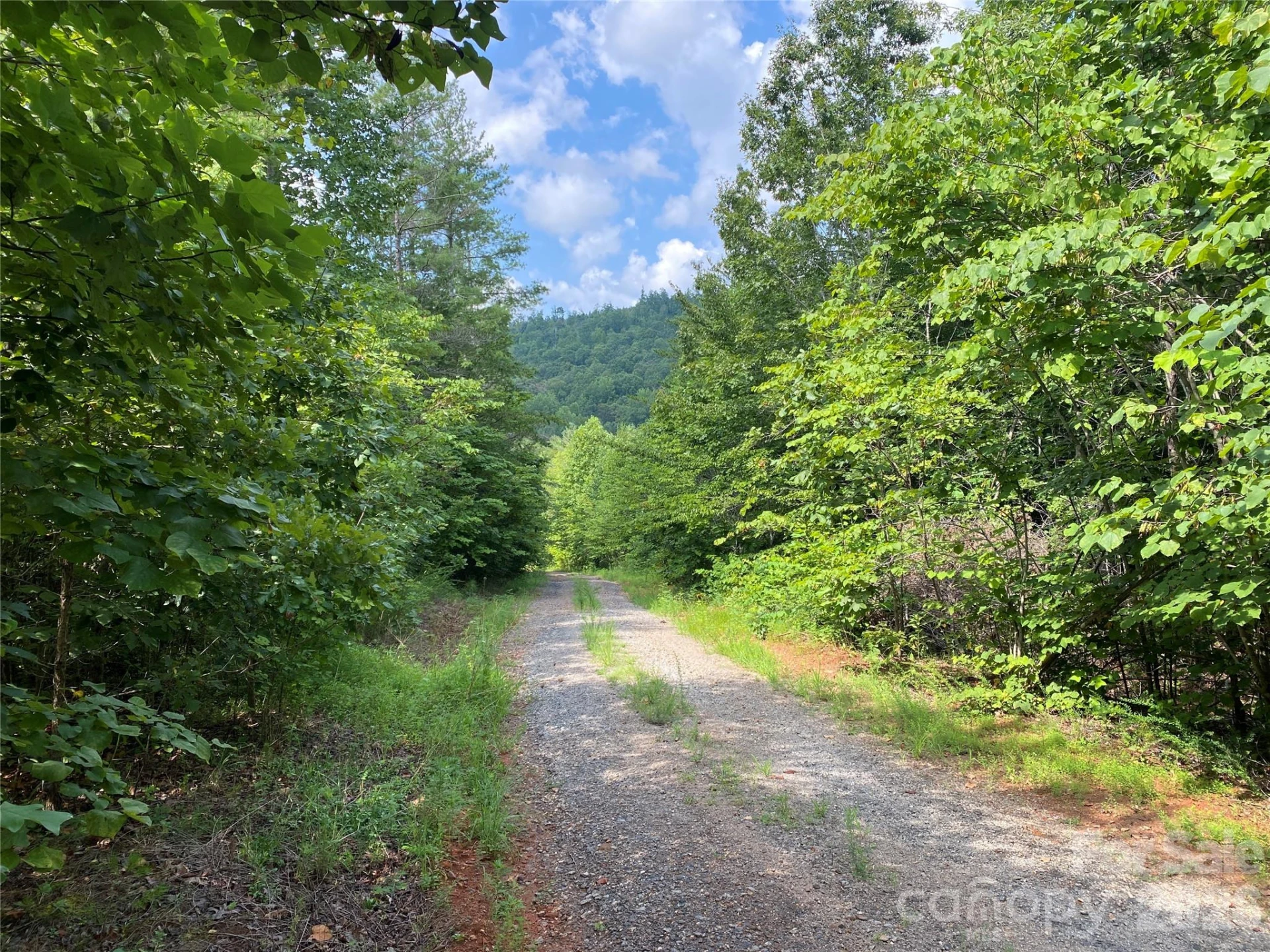 0 Camp McCall Road - Photo 3