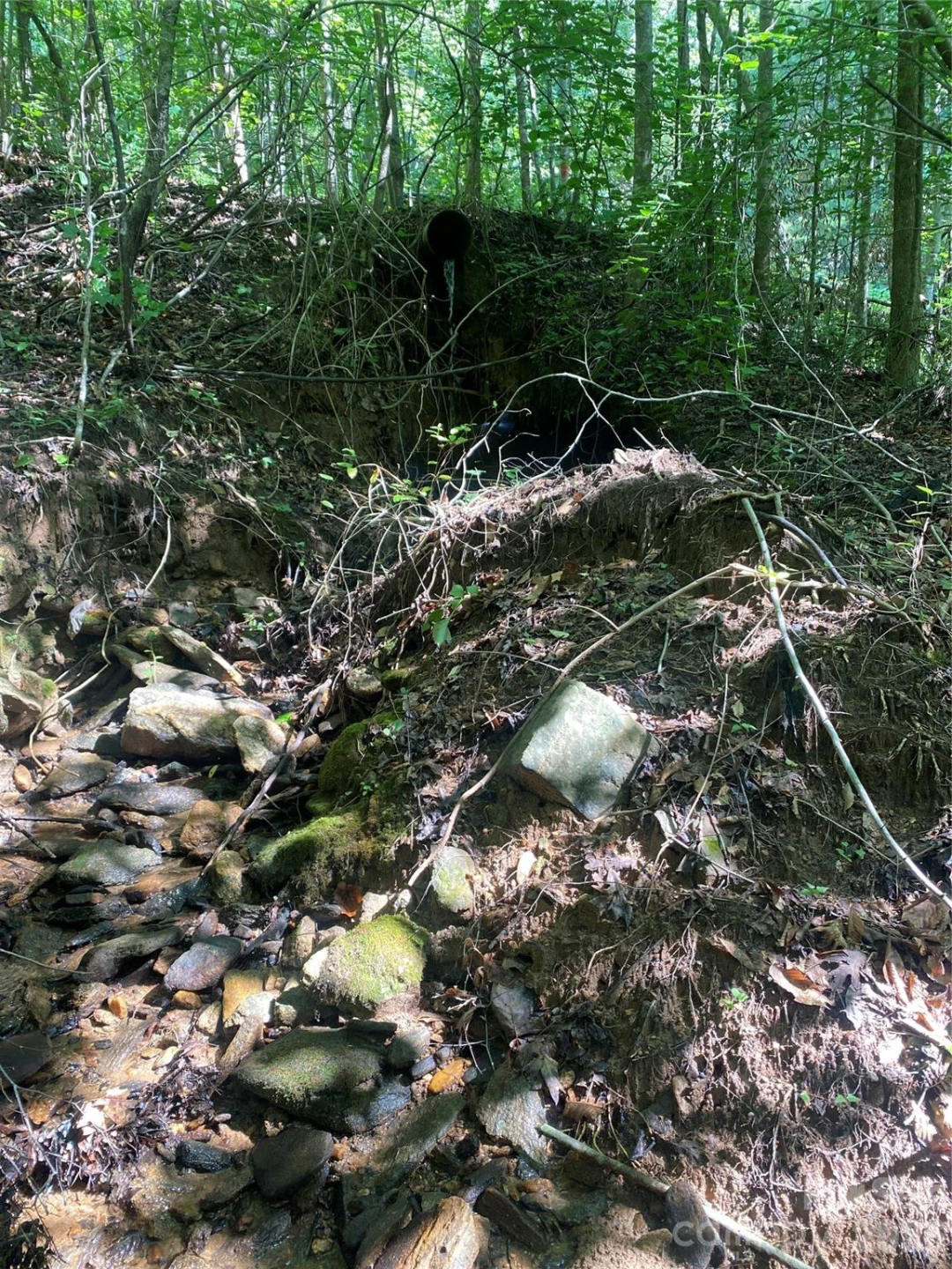 0 Camp McCall Road - Photo 22