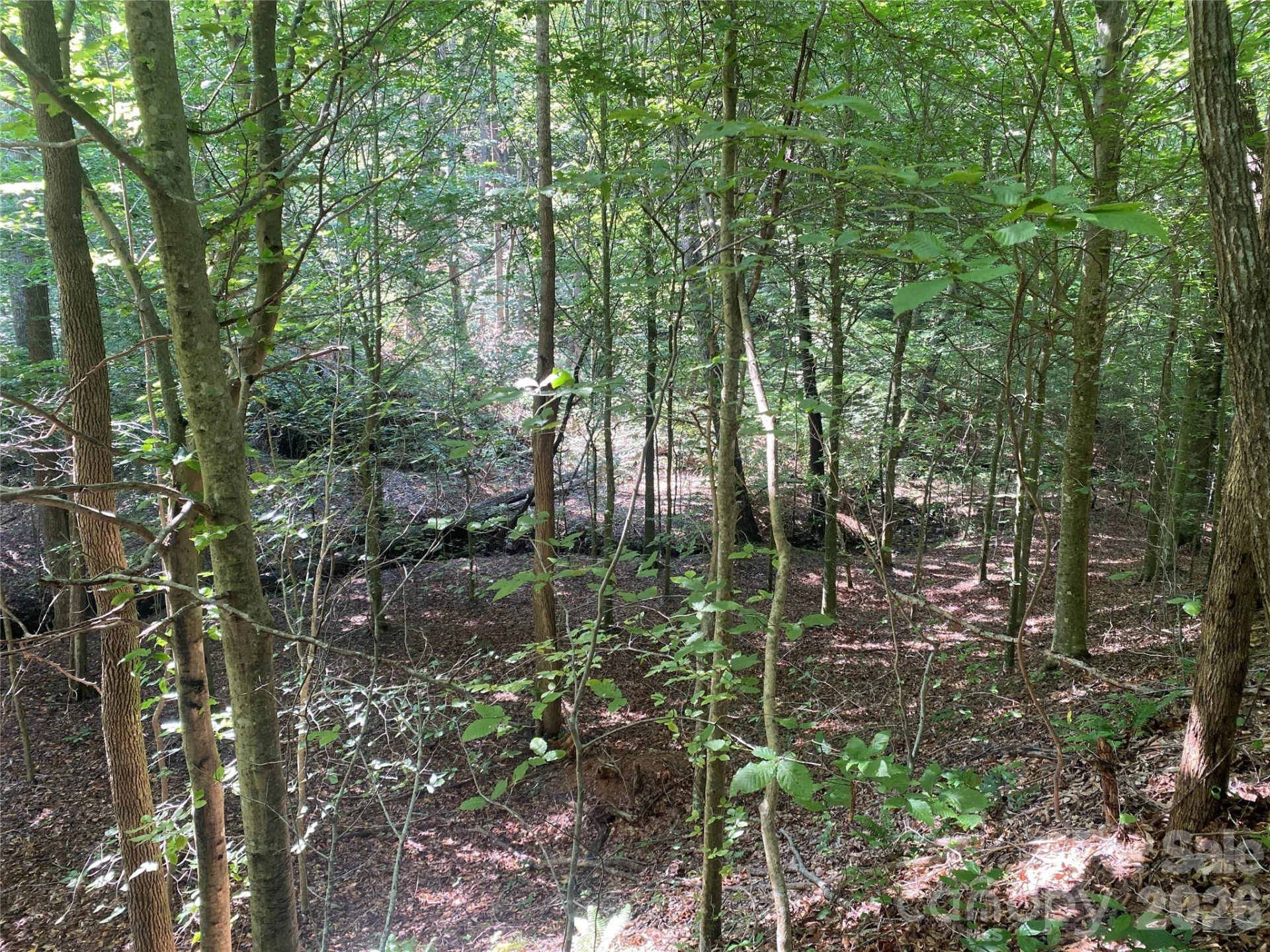 0 Camp McCall Road - Photo 25