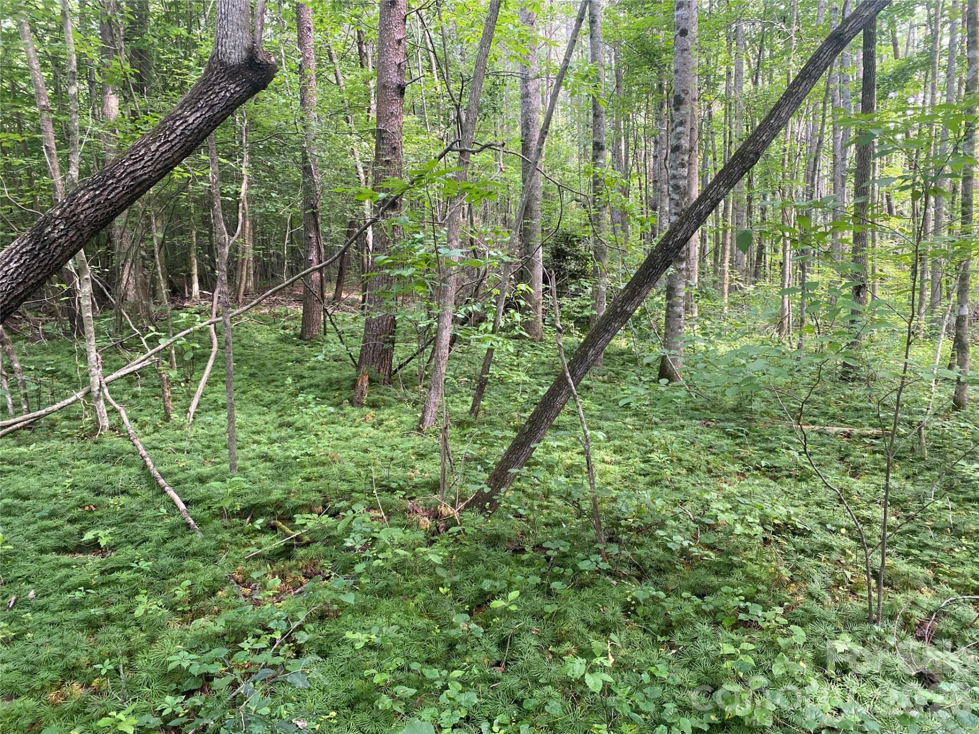 0 Camp McCall Road - Photo 27