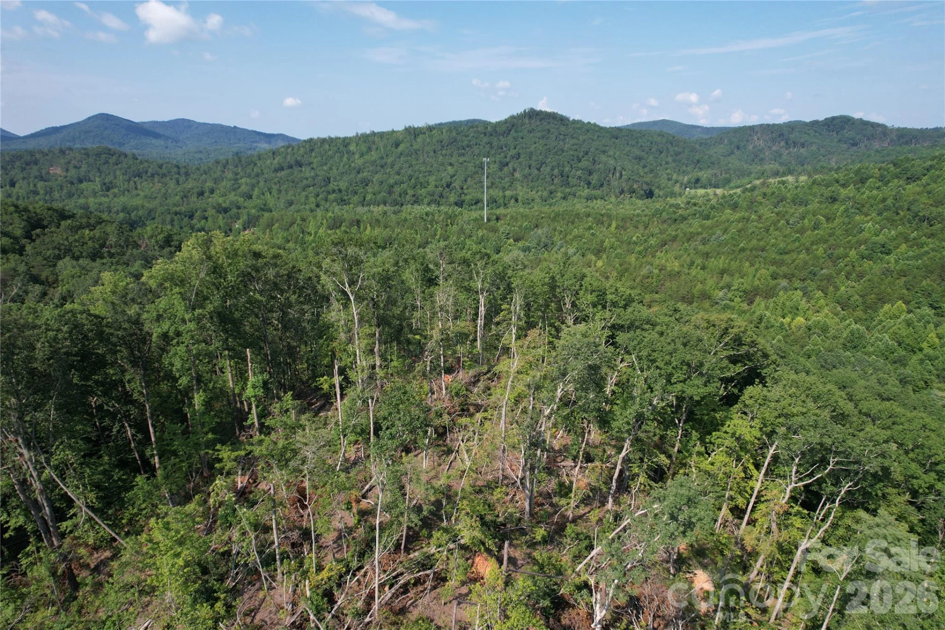 0 Camp McCall Road - Photo 28