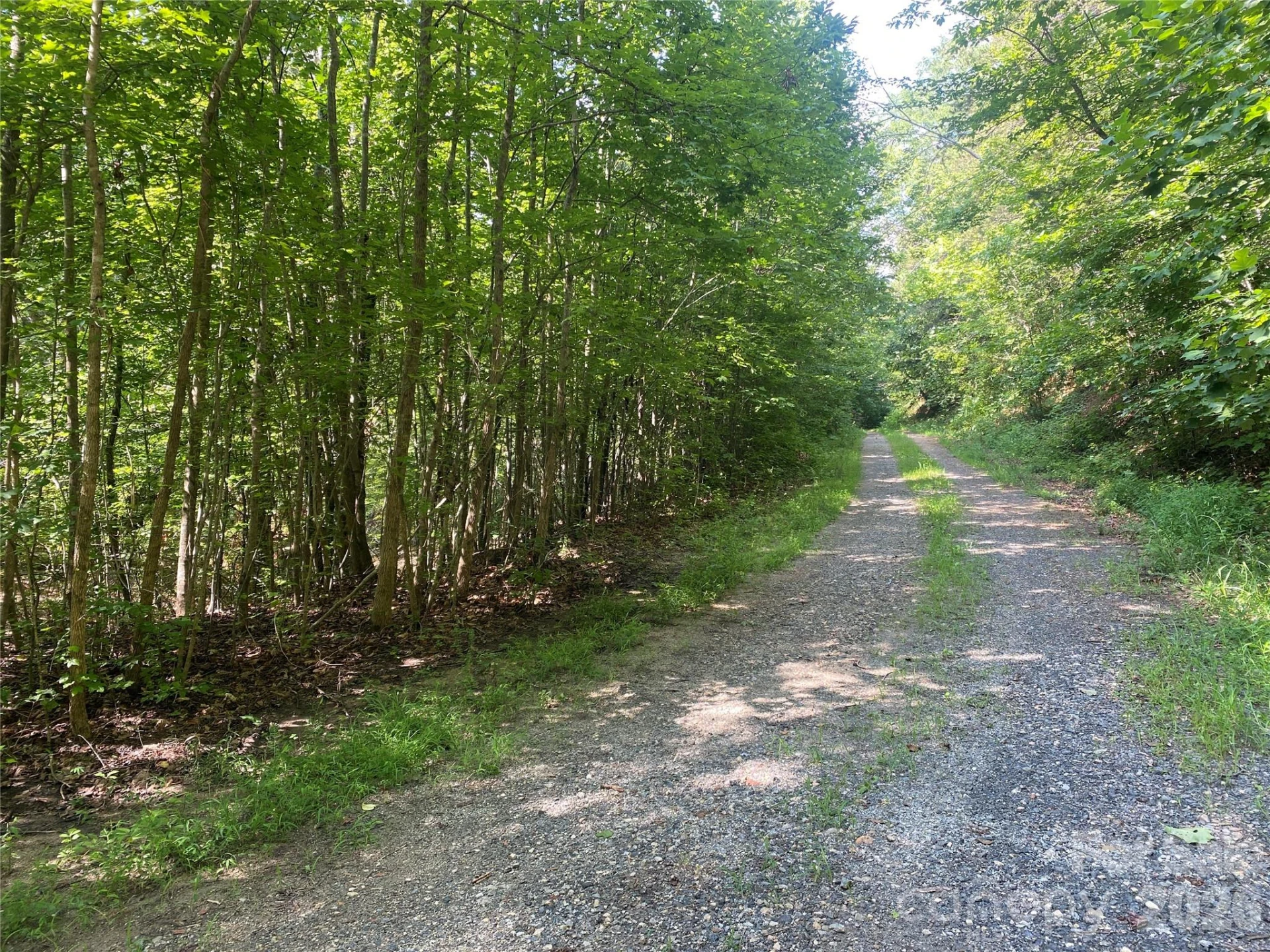 0 Camp McCall Road - Photo 4
