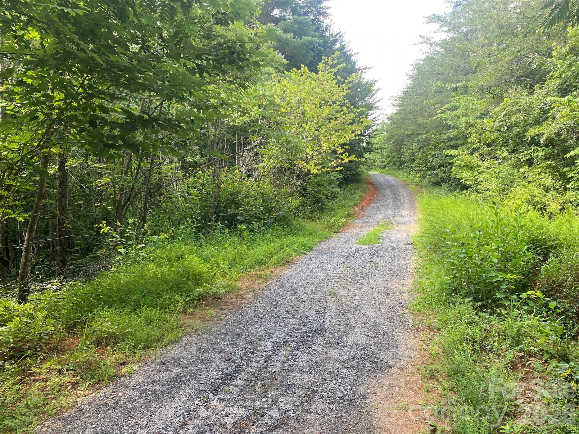 0 Camp McCall Road - Photo 5