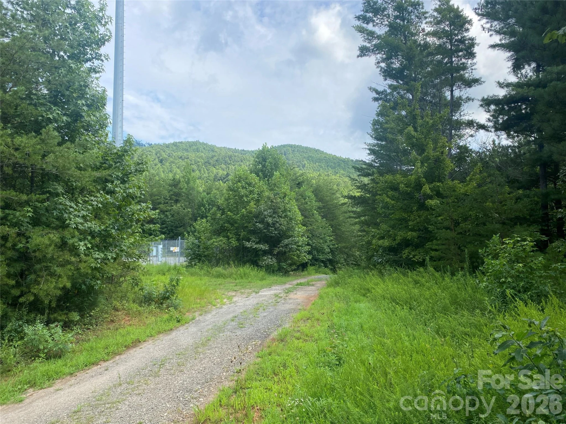 0 Camp McCall Road - Photo 6