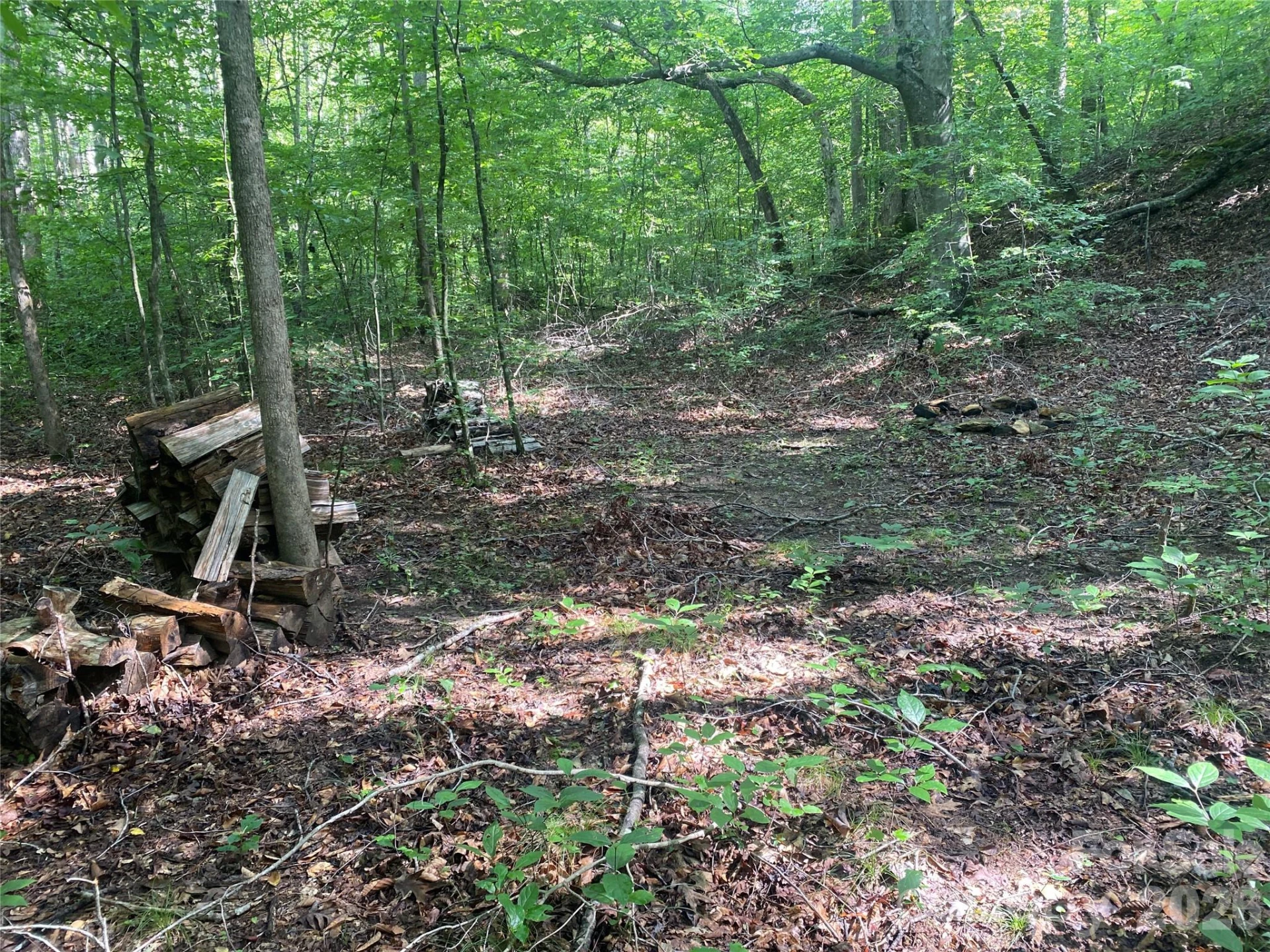 0 Camp McCall Road - Photo 10