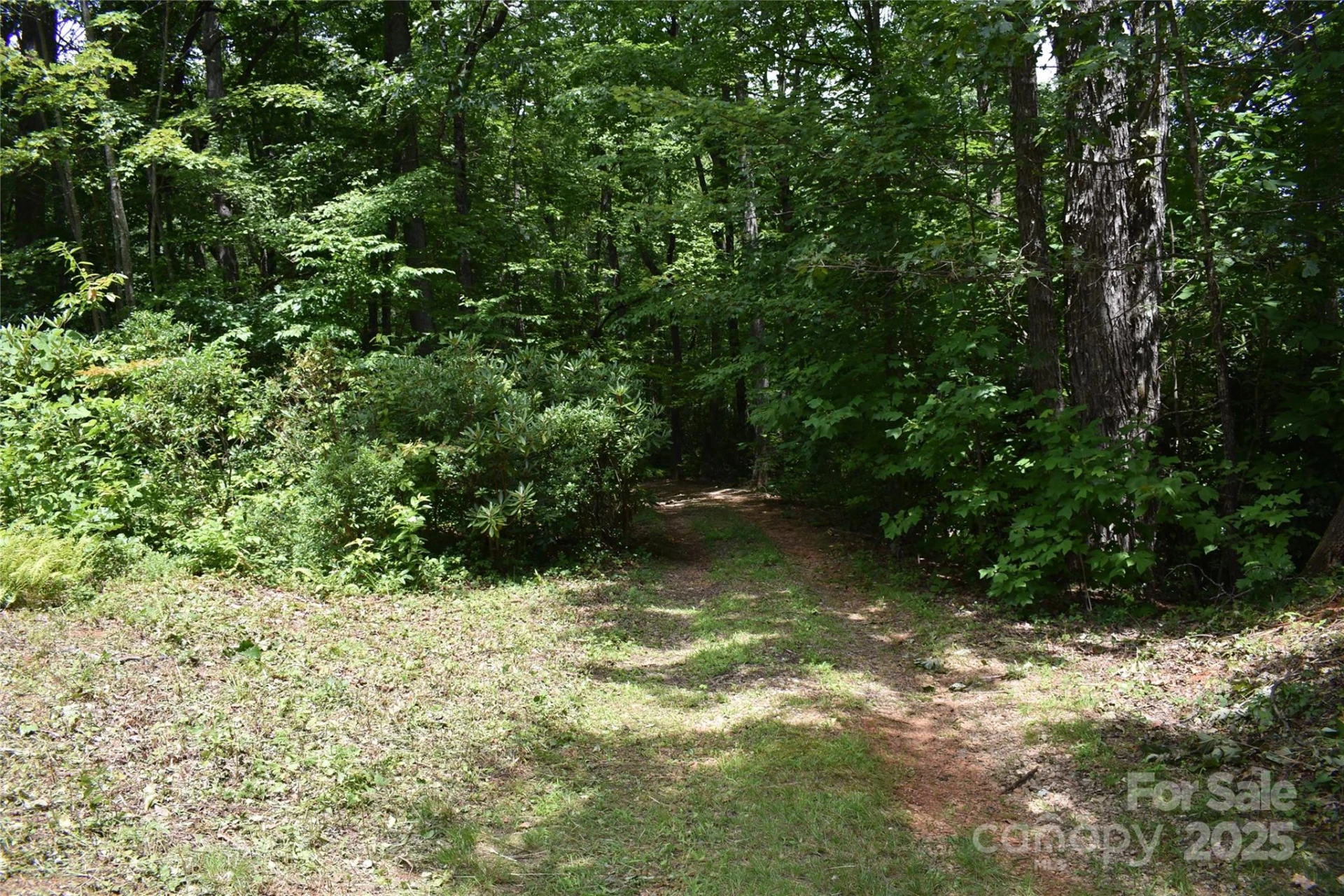 50 Firefly Springs Lane - Photo 20