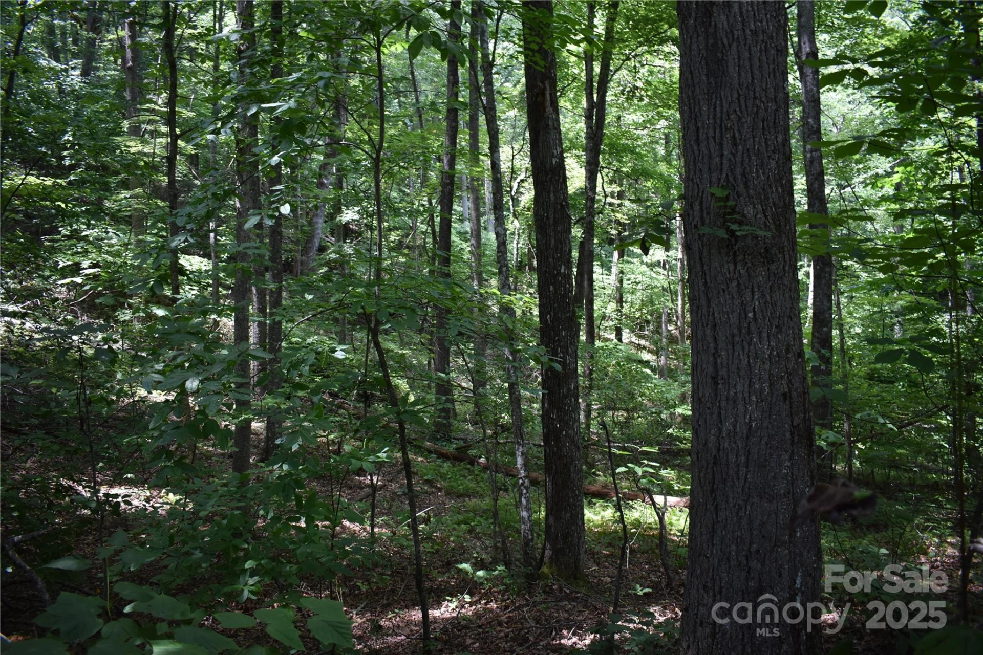 50 Firefly Springs Lane - Photo 27
