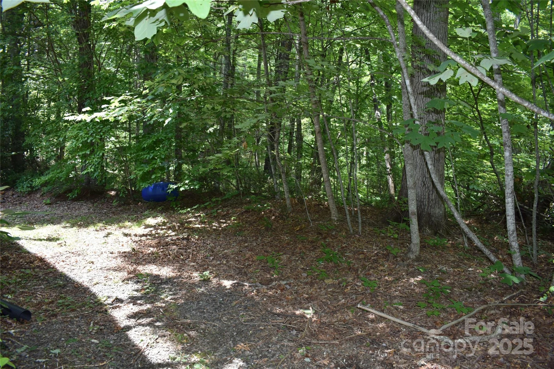 50 Firefly Springs Lane - Photo 24