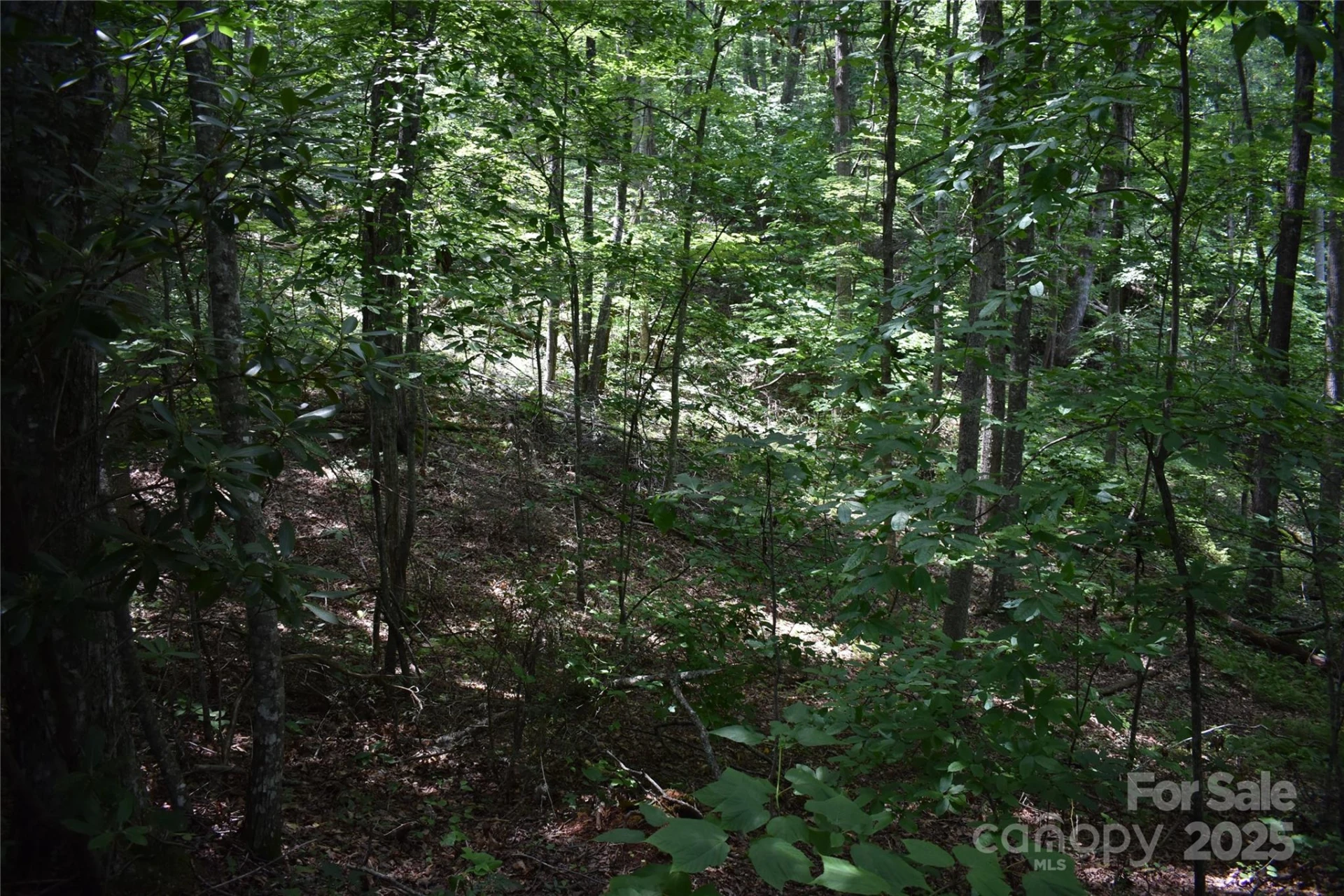 50 Firefly Springs Lane - Photo 26