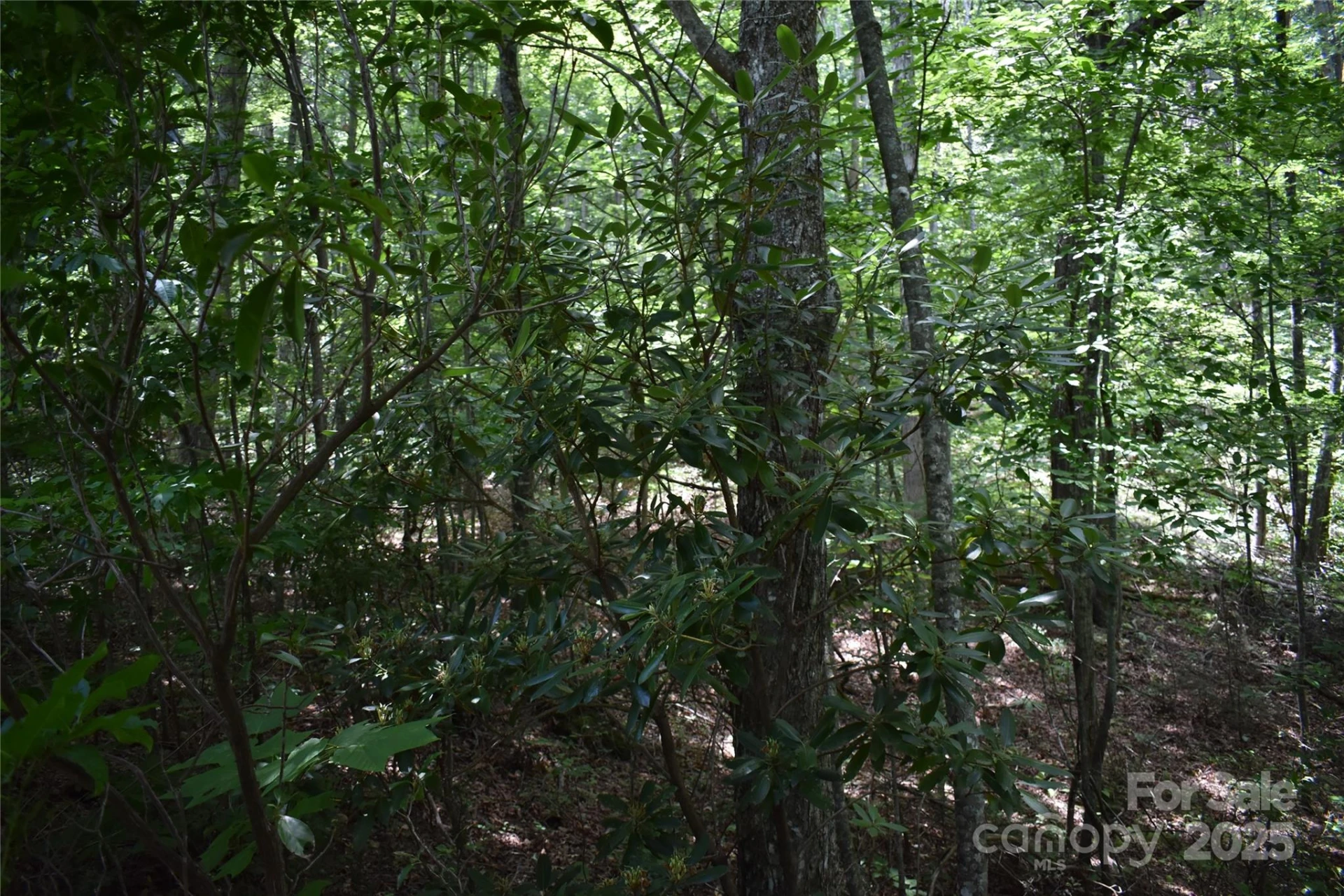 50 Firefly Springs Lane - Photo 27