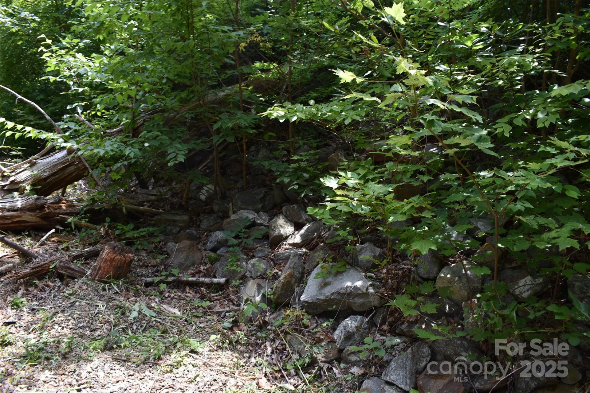 50 Firefly Springs Lane - Photo 32