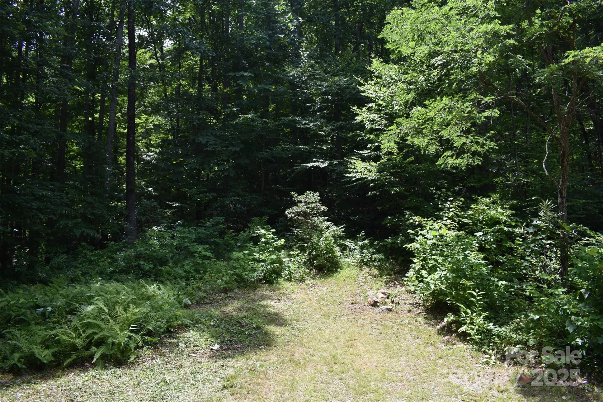 50 Firefly Springs Lane - Photo 35
