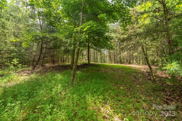 LOT 46 Black Forest Drive