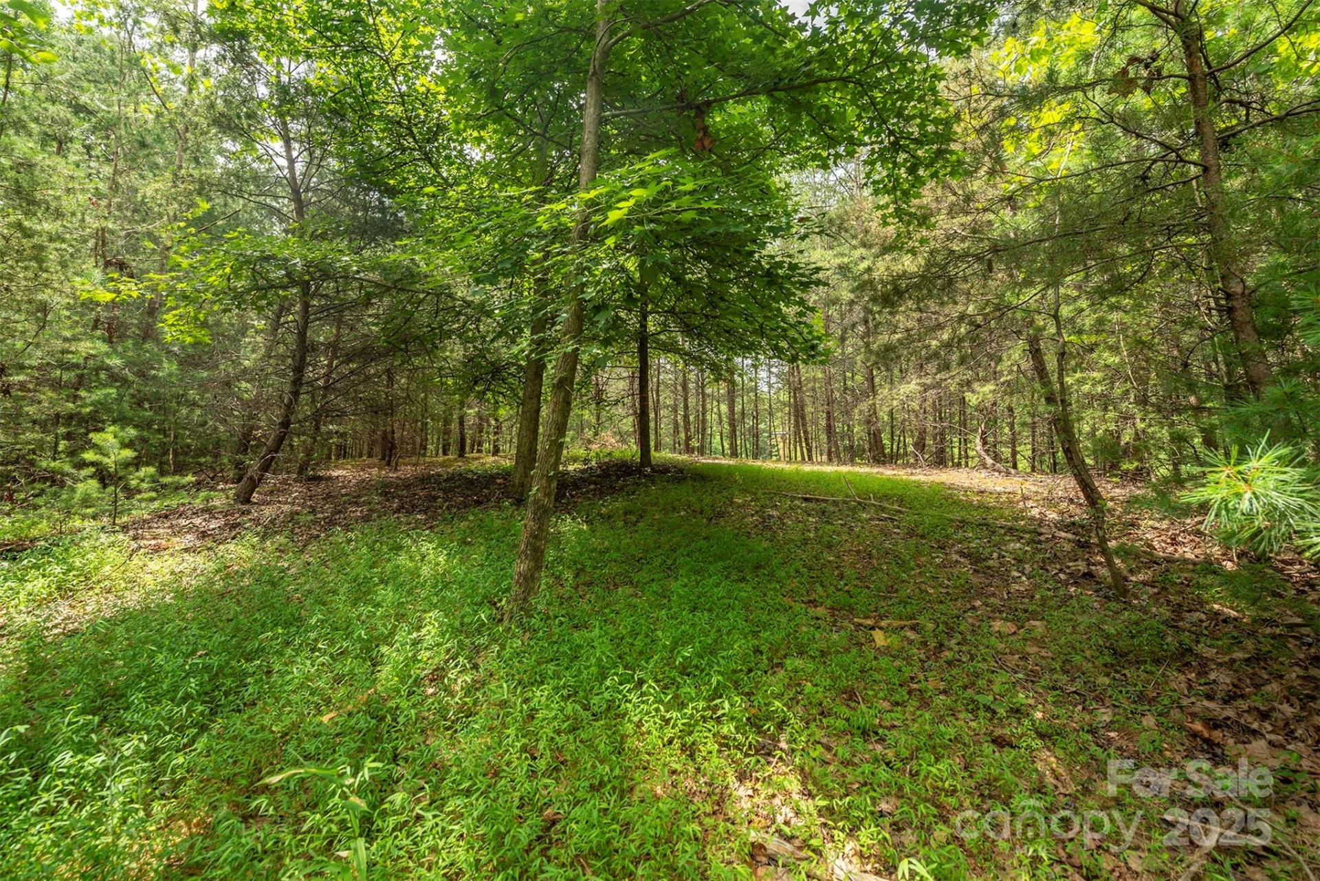 LOT 46 Black Forest Drive