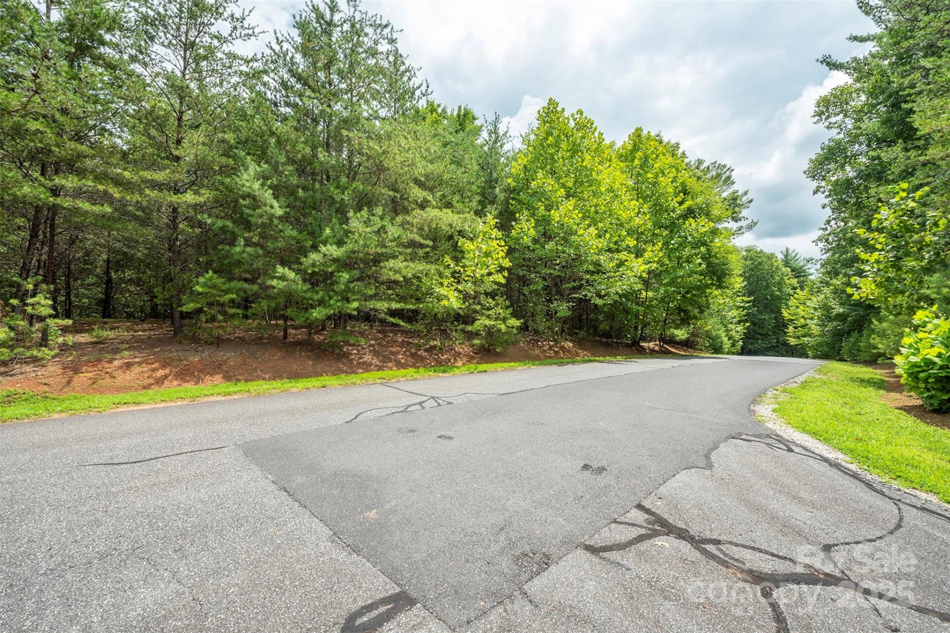 LOT 46 Black Forest Drive - Photo 11